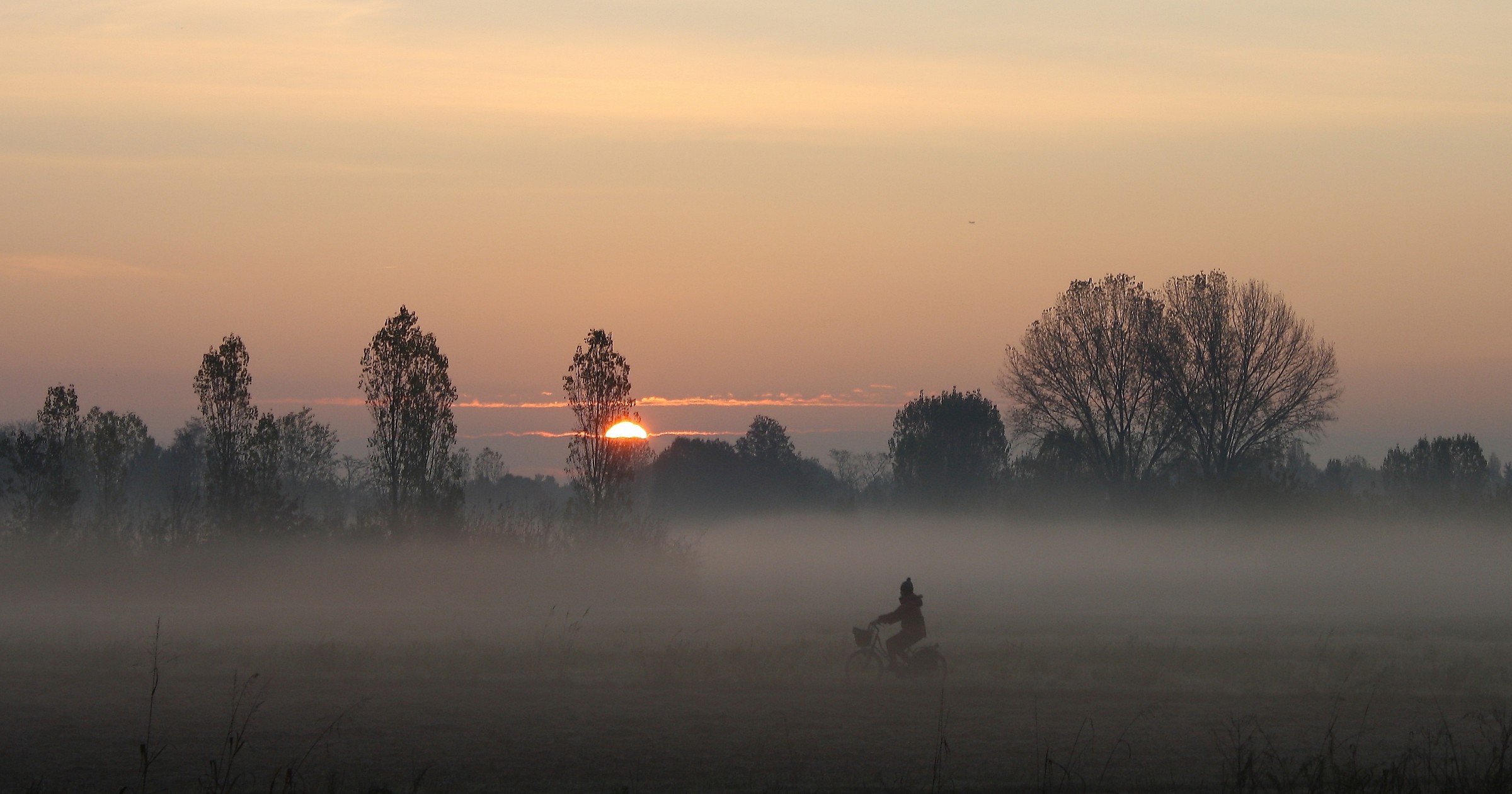 Cycling through the fog (as amended on tips)