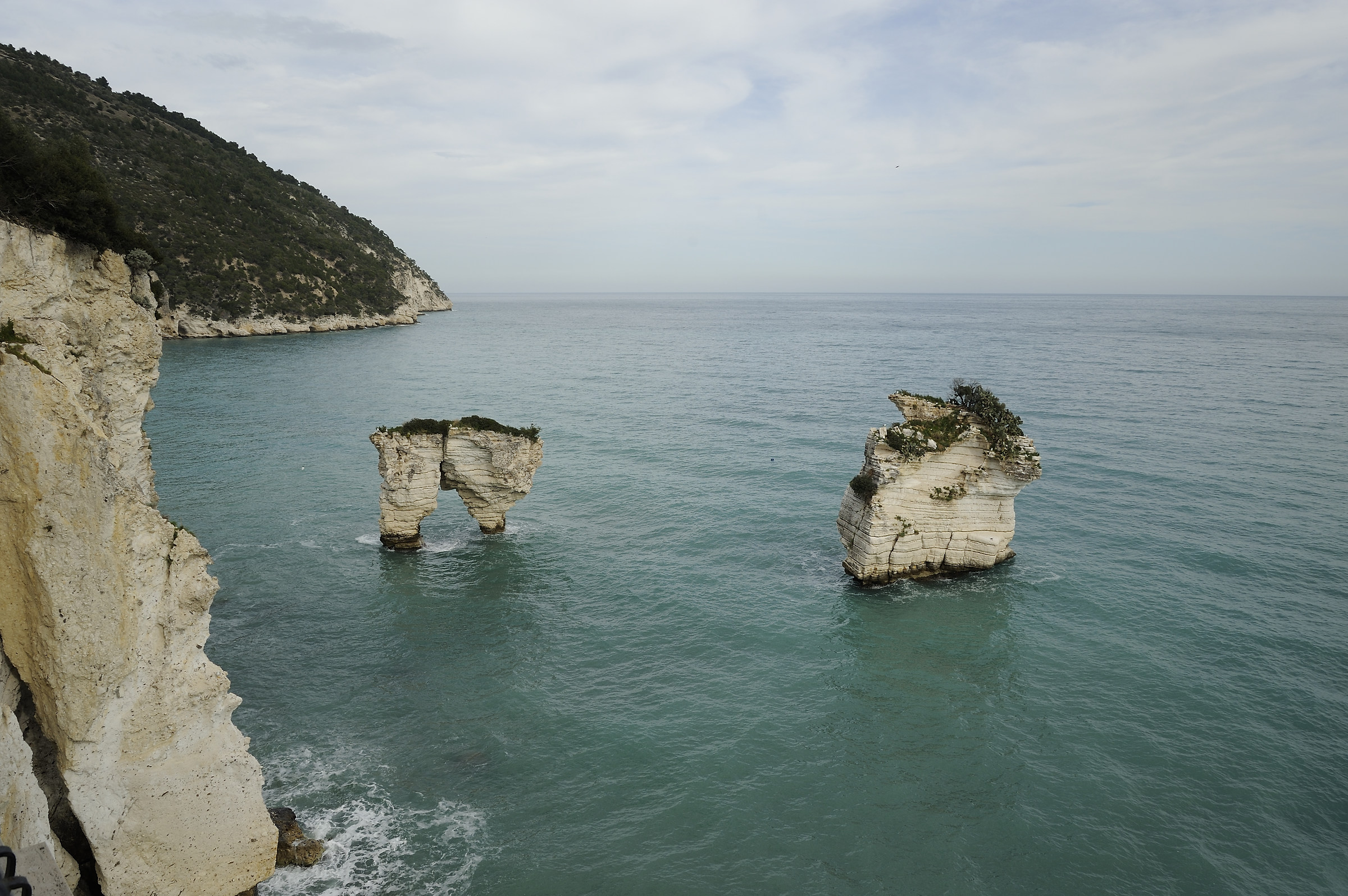 Bay of orange blossoms
