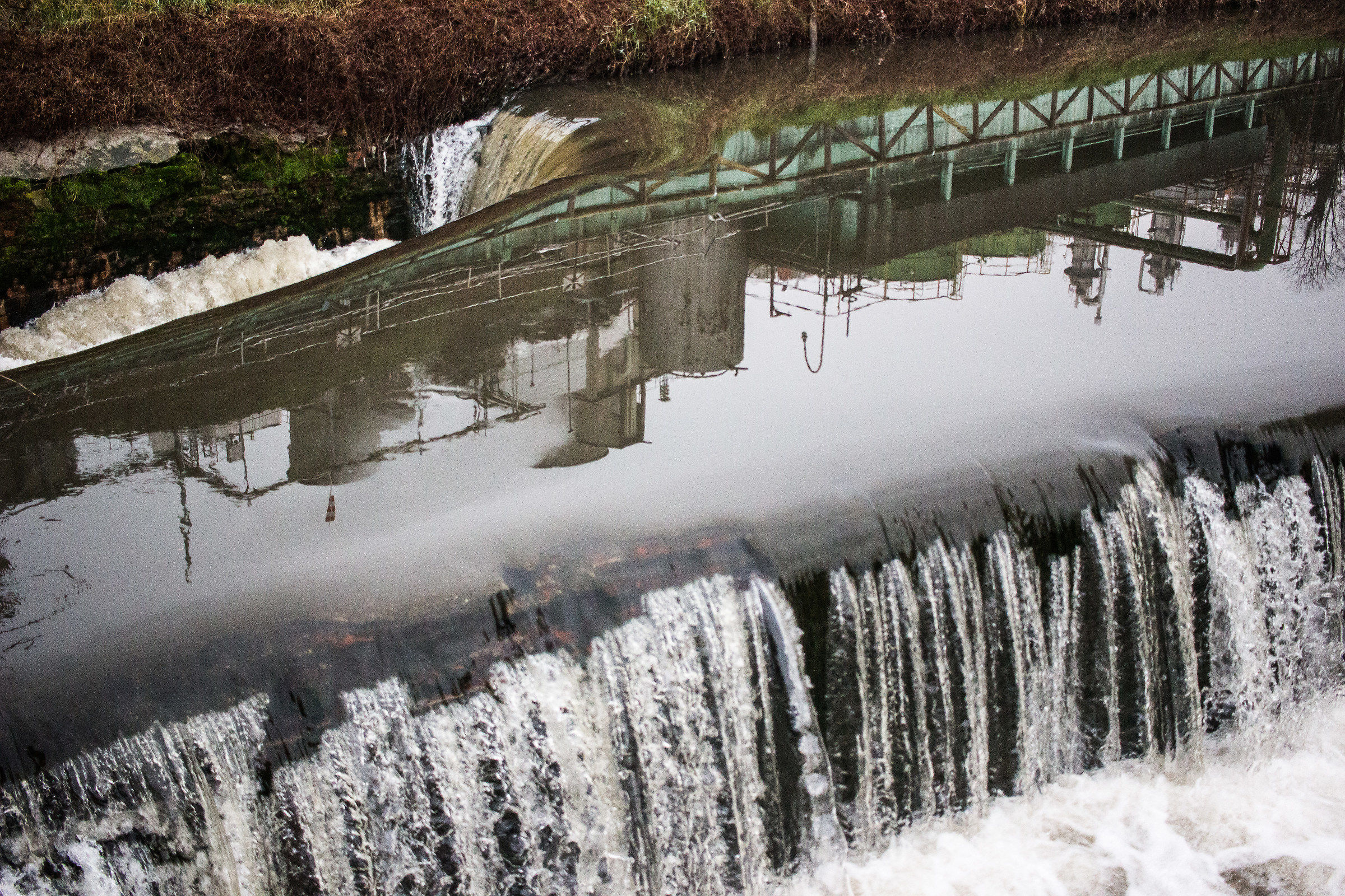 reflections-ones of the river Olona