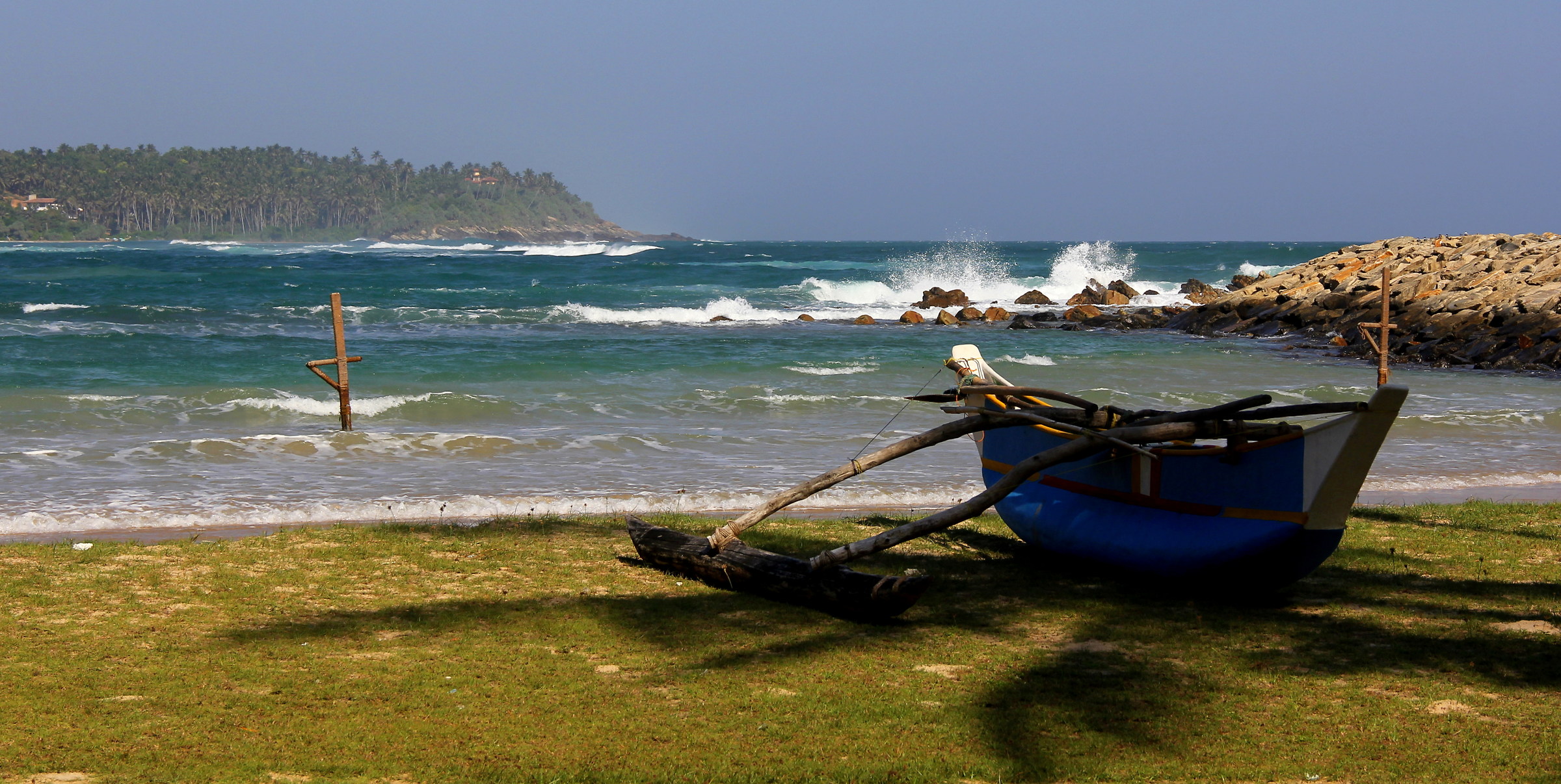 the shade of the palm trees