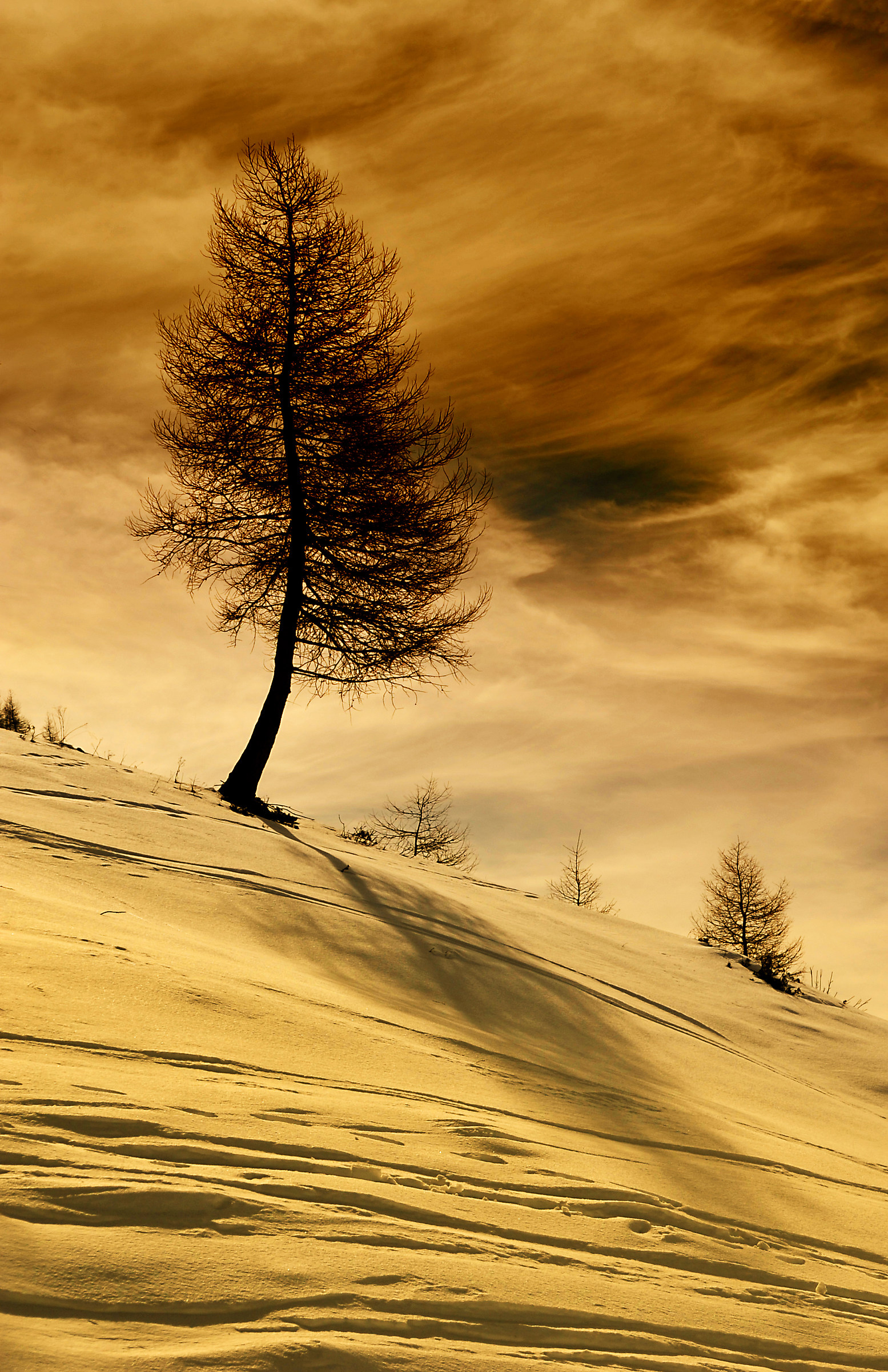 Towards Crocedomini ...