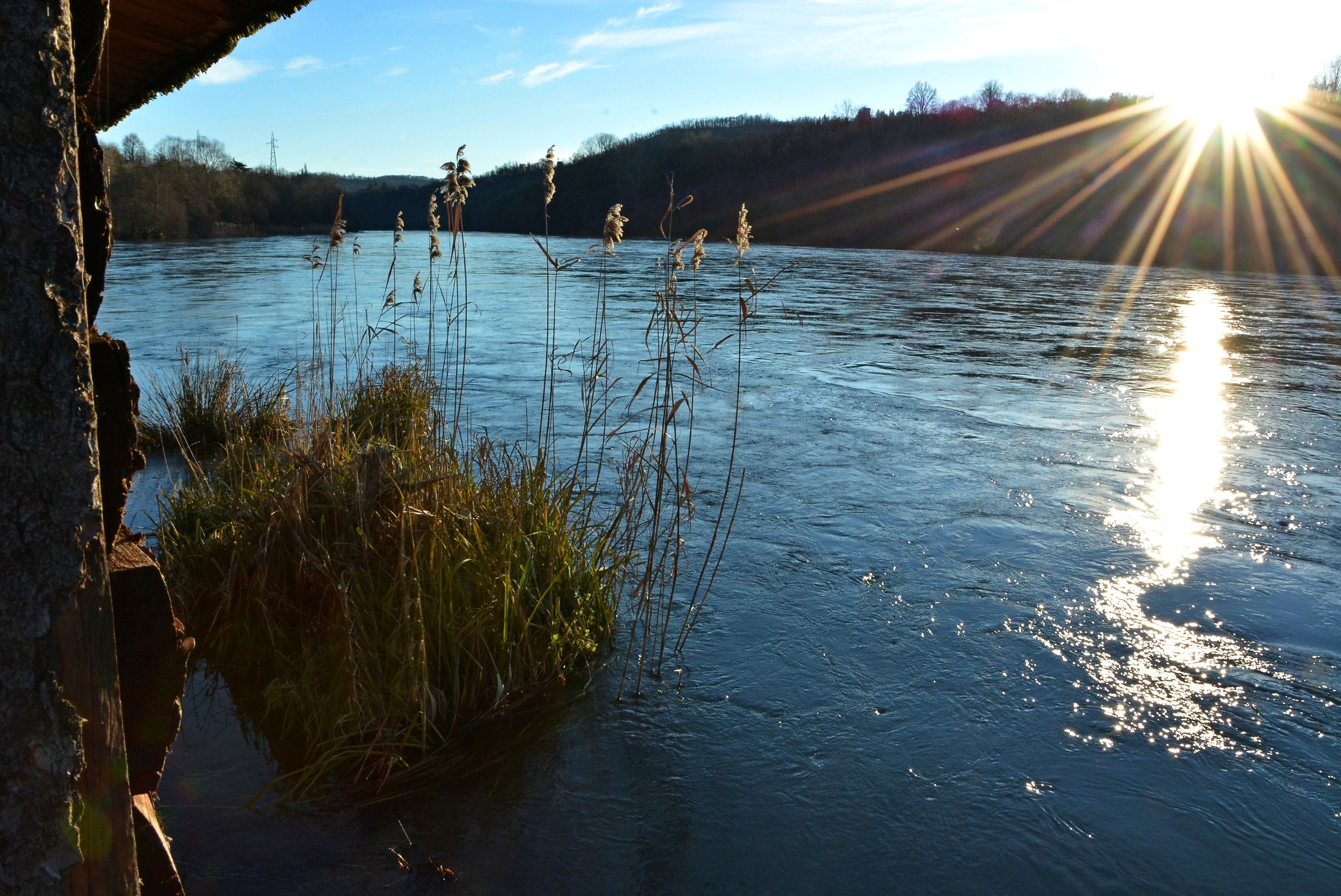rays on the river ..