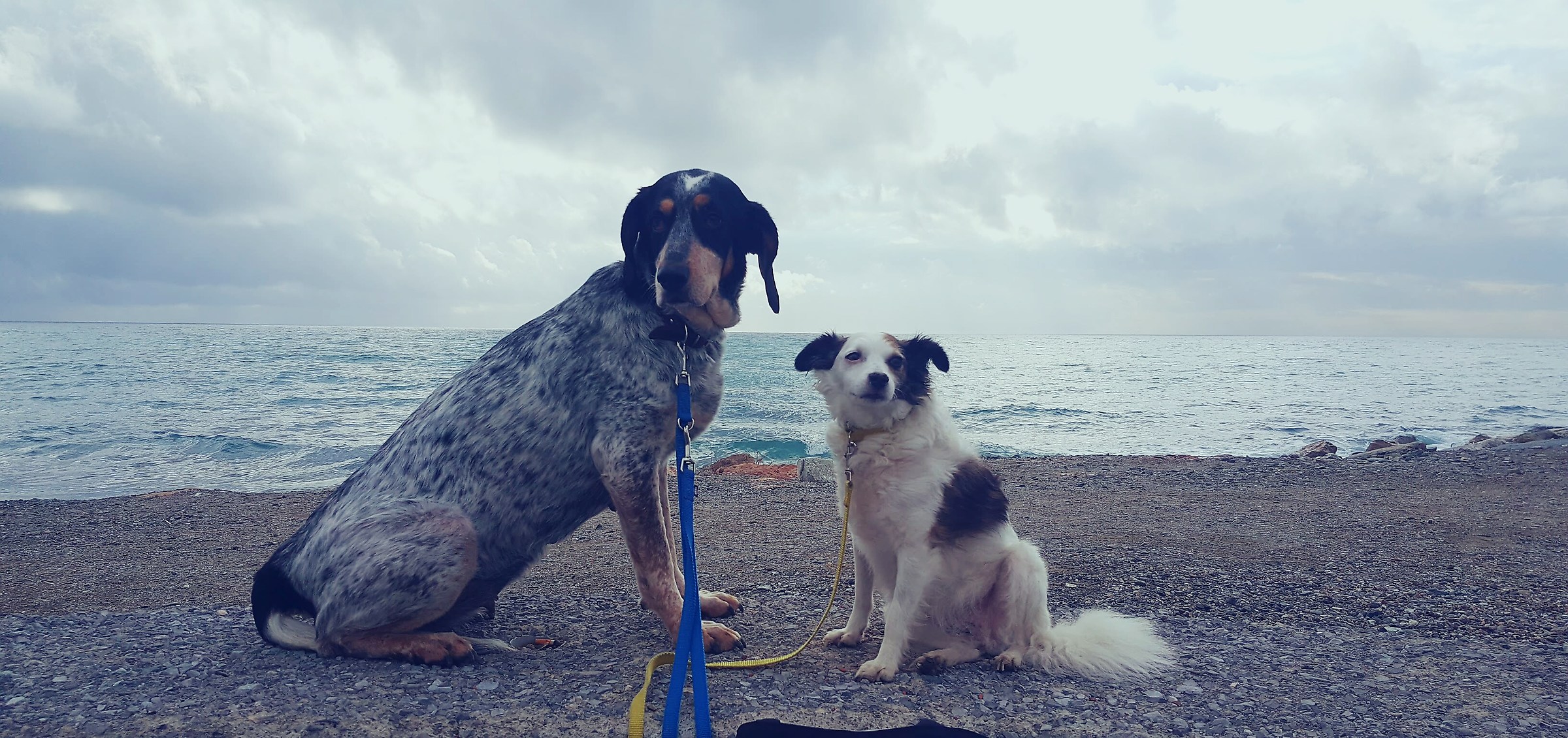 i miei amori al tramonto
