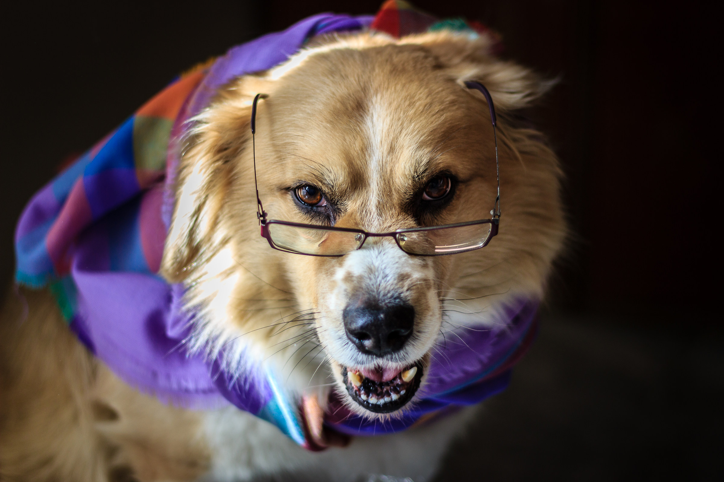 Nonna, che occhi grandi che hai!