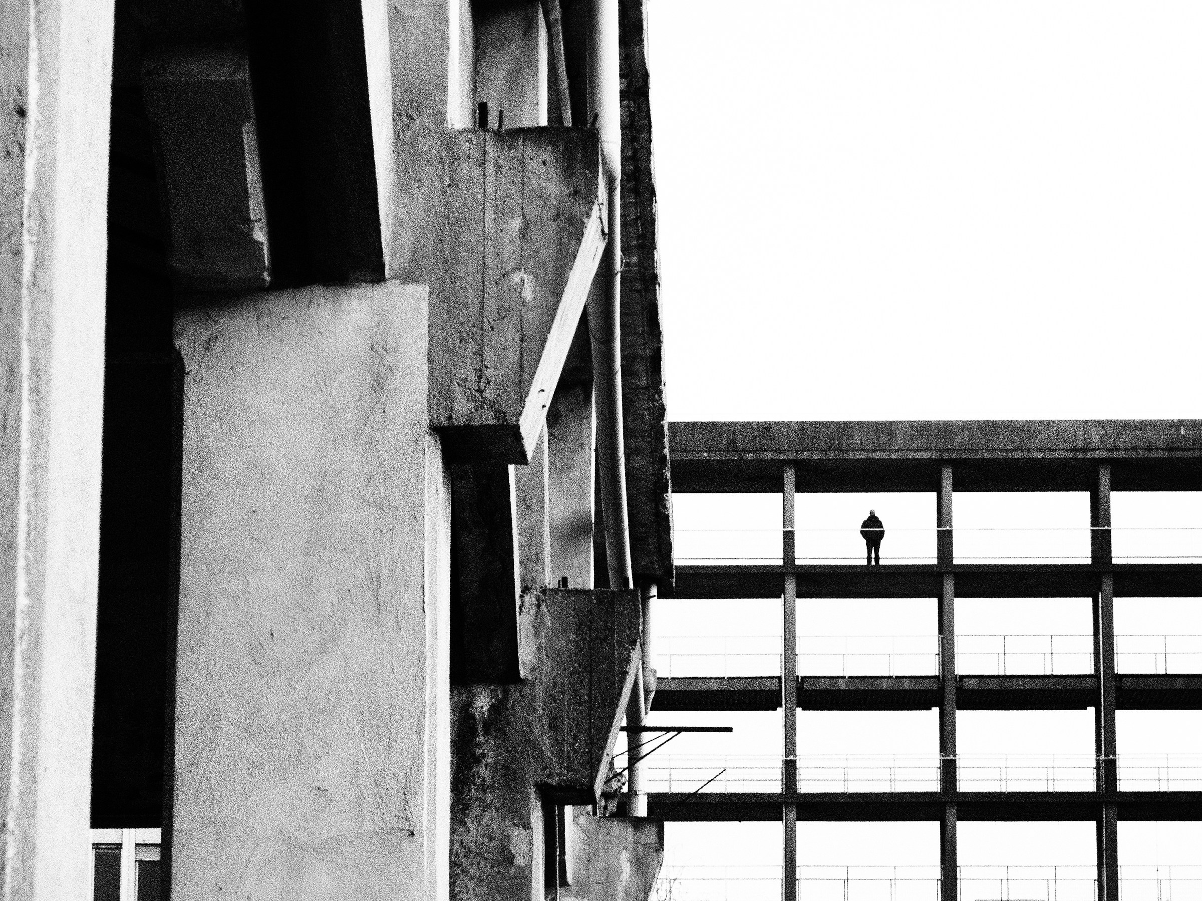 Poligoni e presenze - elaborazione 1