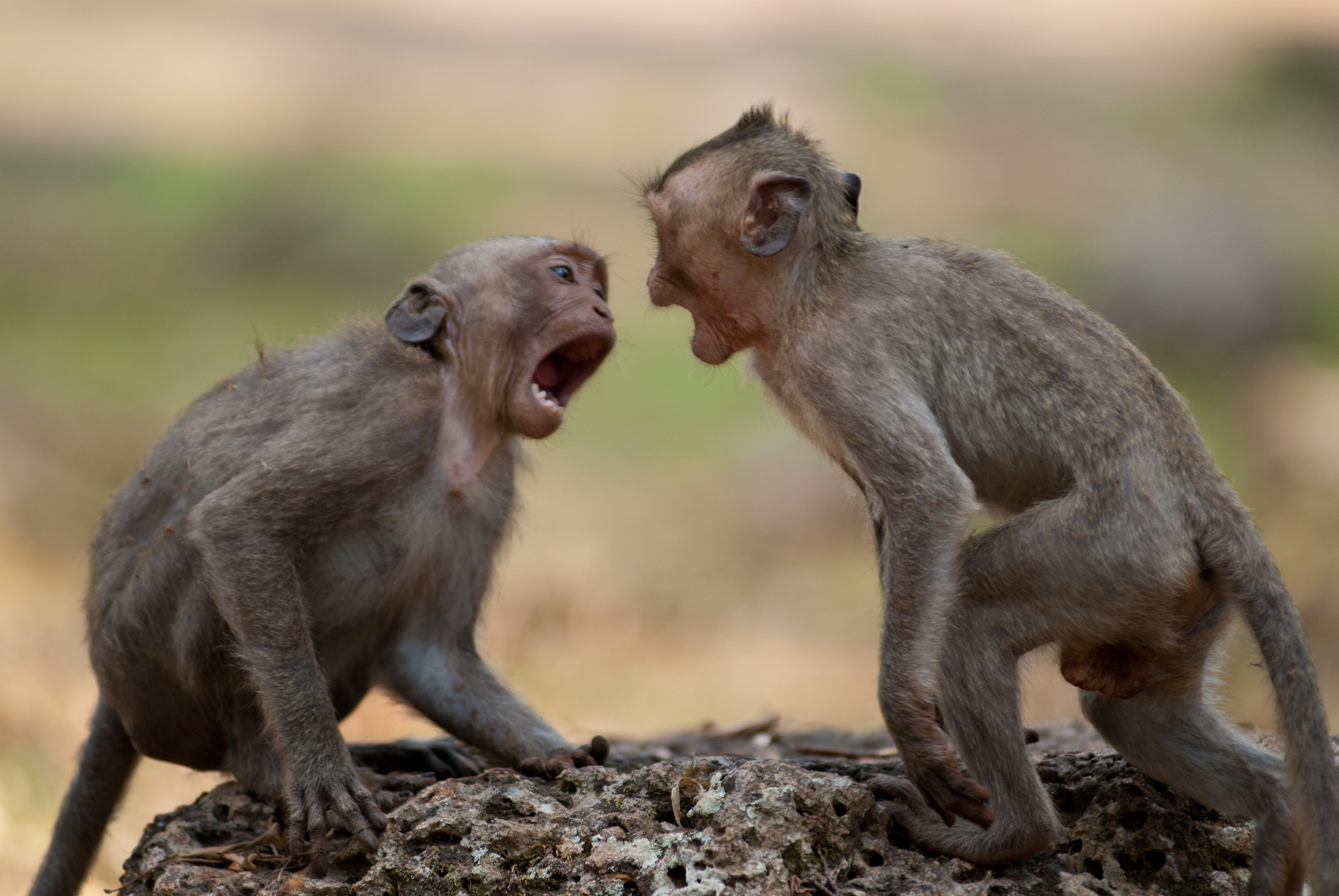 Discutiamone con calma..