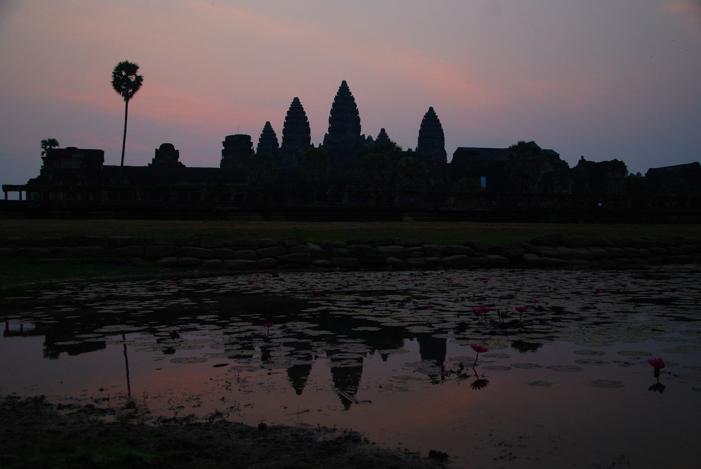 attendendo l'alba ad Angkor Wat..