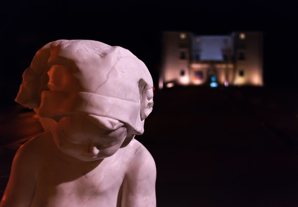 Particolare Statua con Palazzo Mediceo in lontananza
