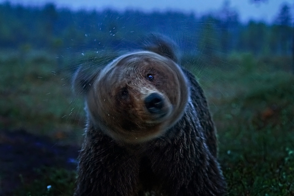 Mi gira la testa....