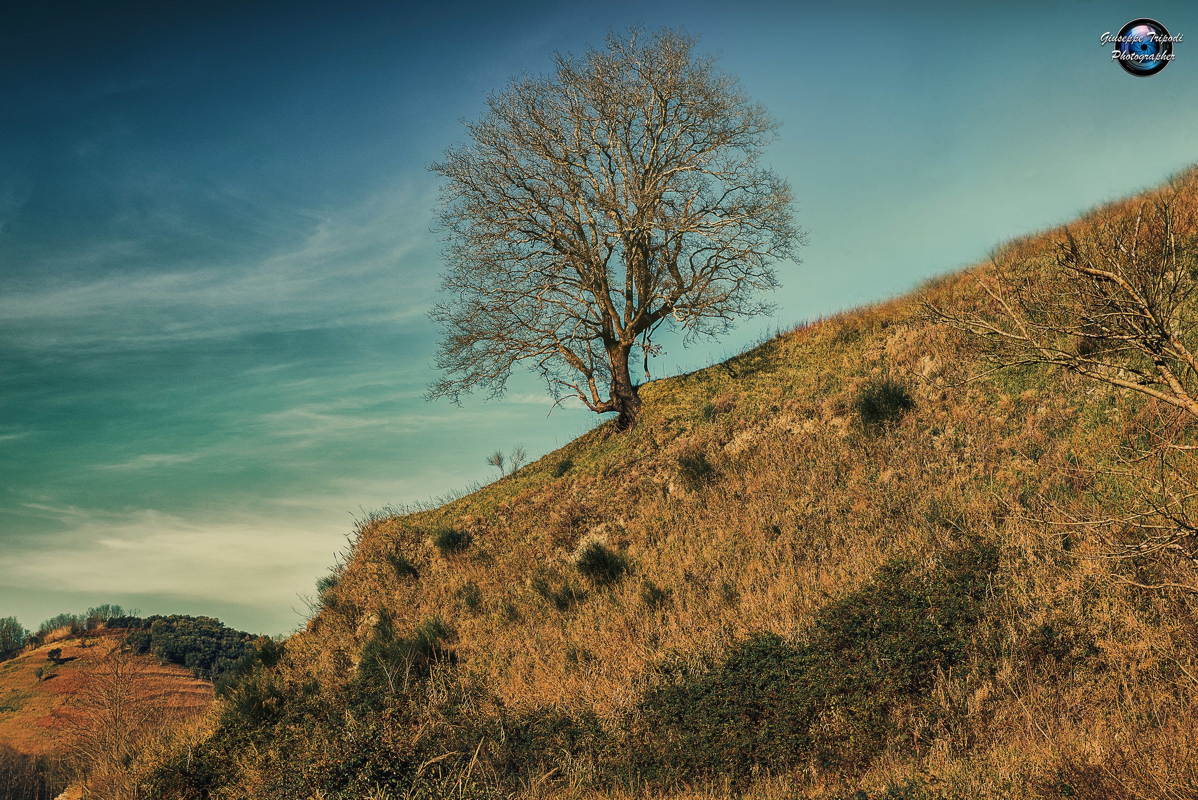Solitary in the countryside