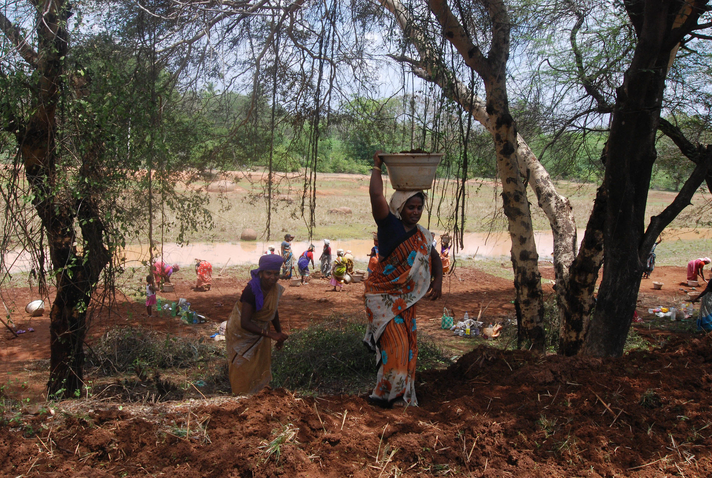 Donne al lavoro (Tamil Nadu, India)