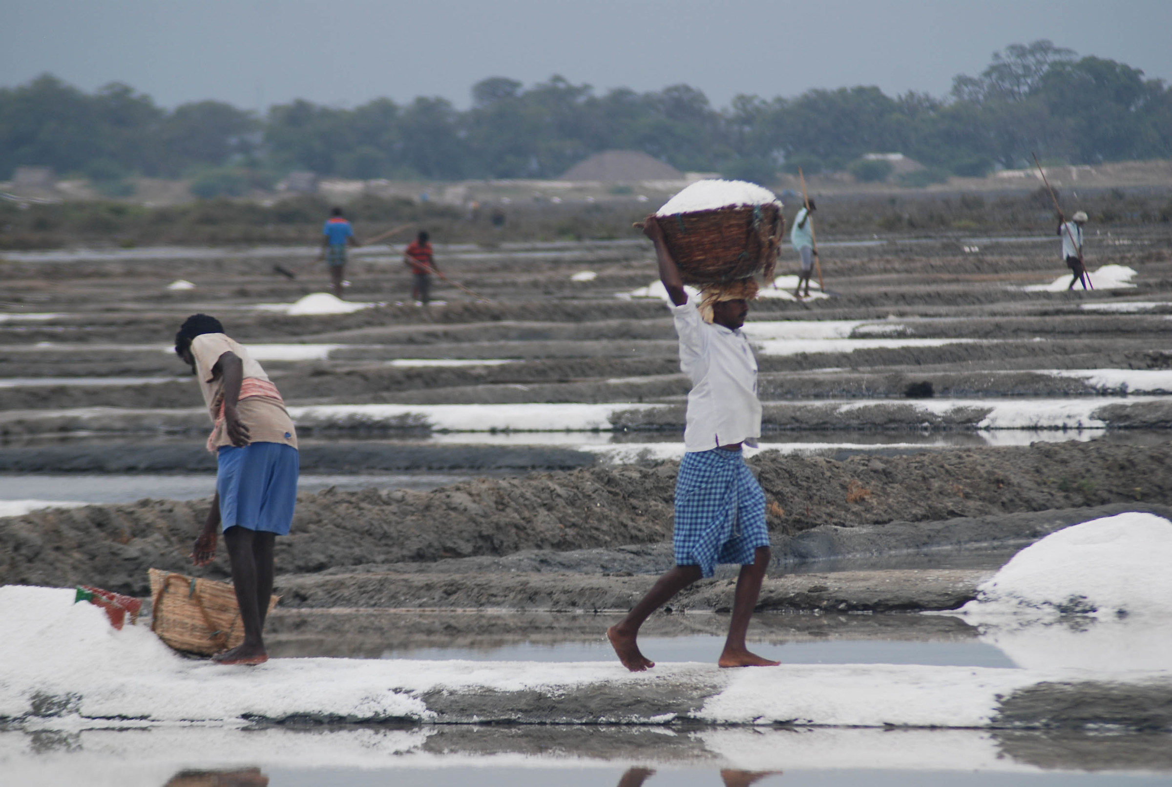 Saline (Tamil Nadu, India)