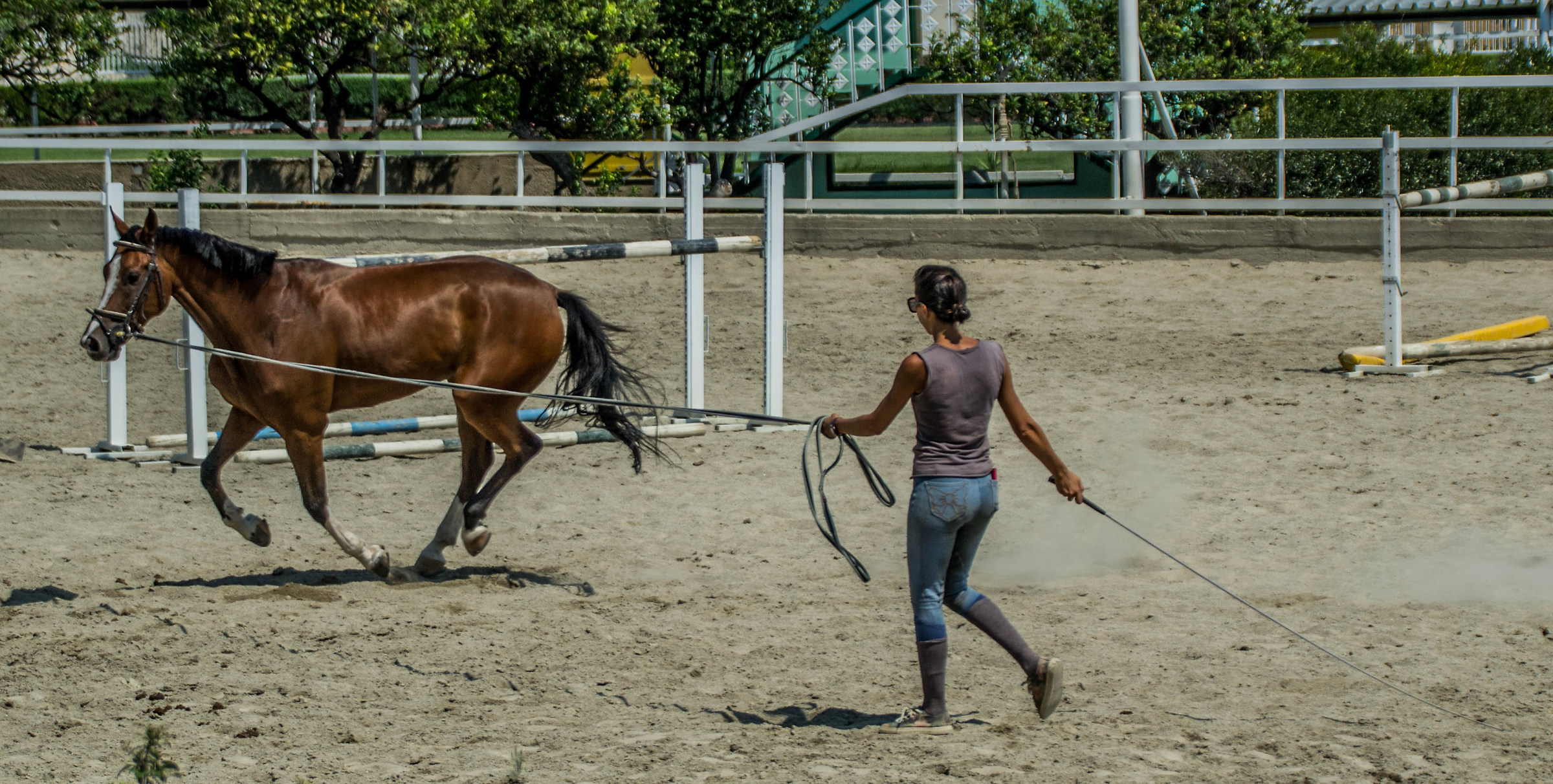 Spiando gli allenamenti
