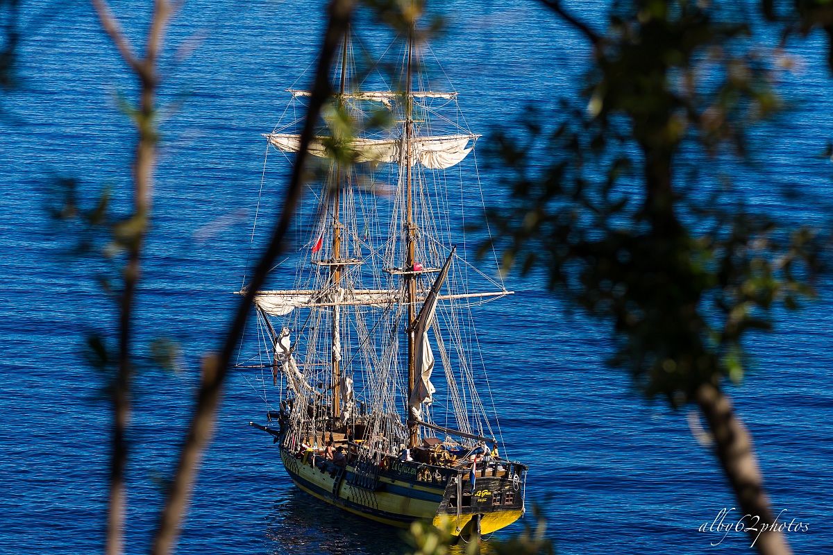 What a beautiful life!