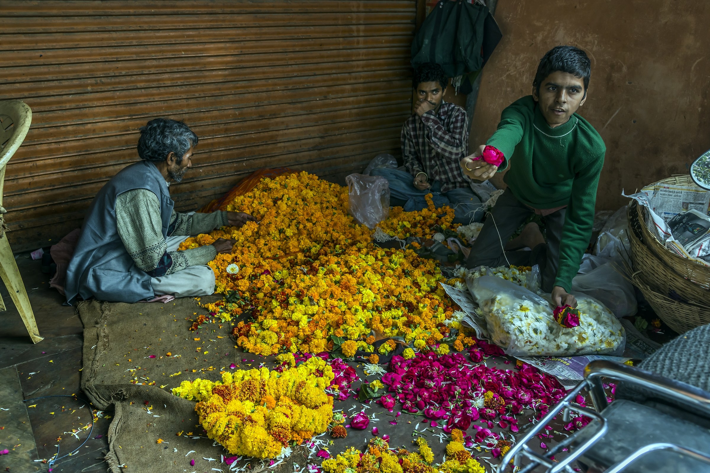 Rajasthan 2017 - Fioraio a Jaipur