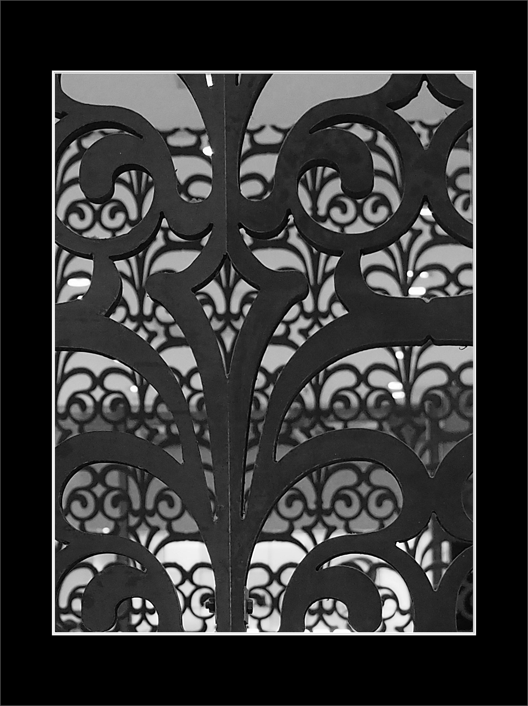 Looking through the viewfinder