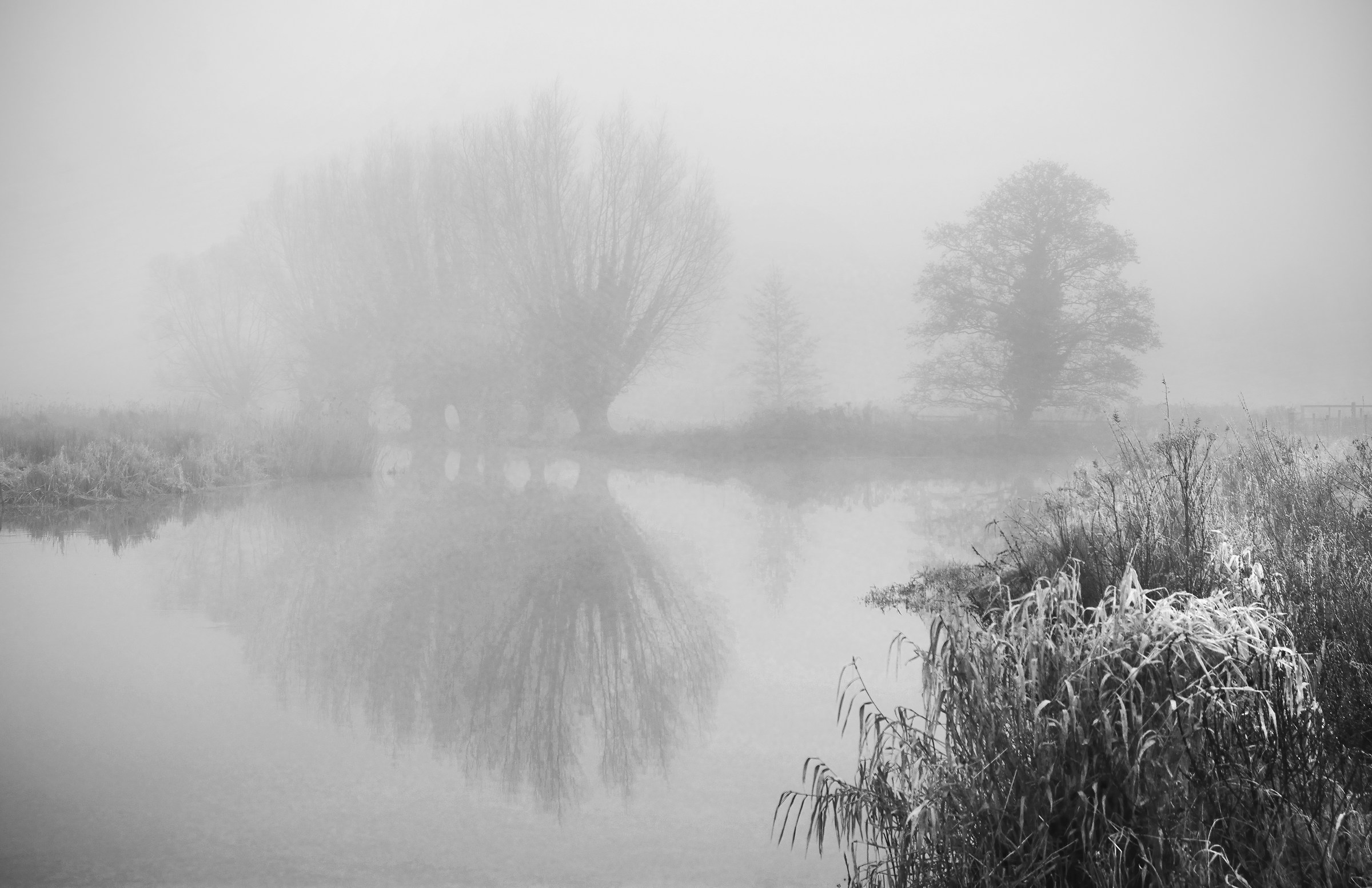 Haunting. Melancholic.