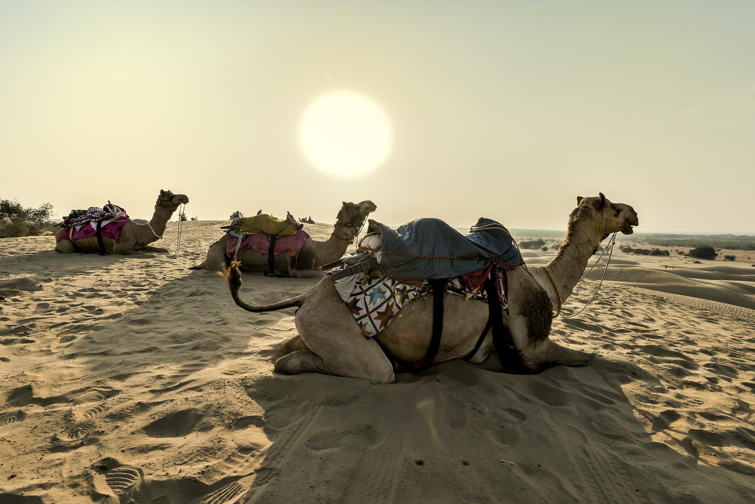 Rajasthan 2017 - Tourist landscape