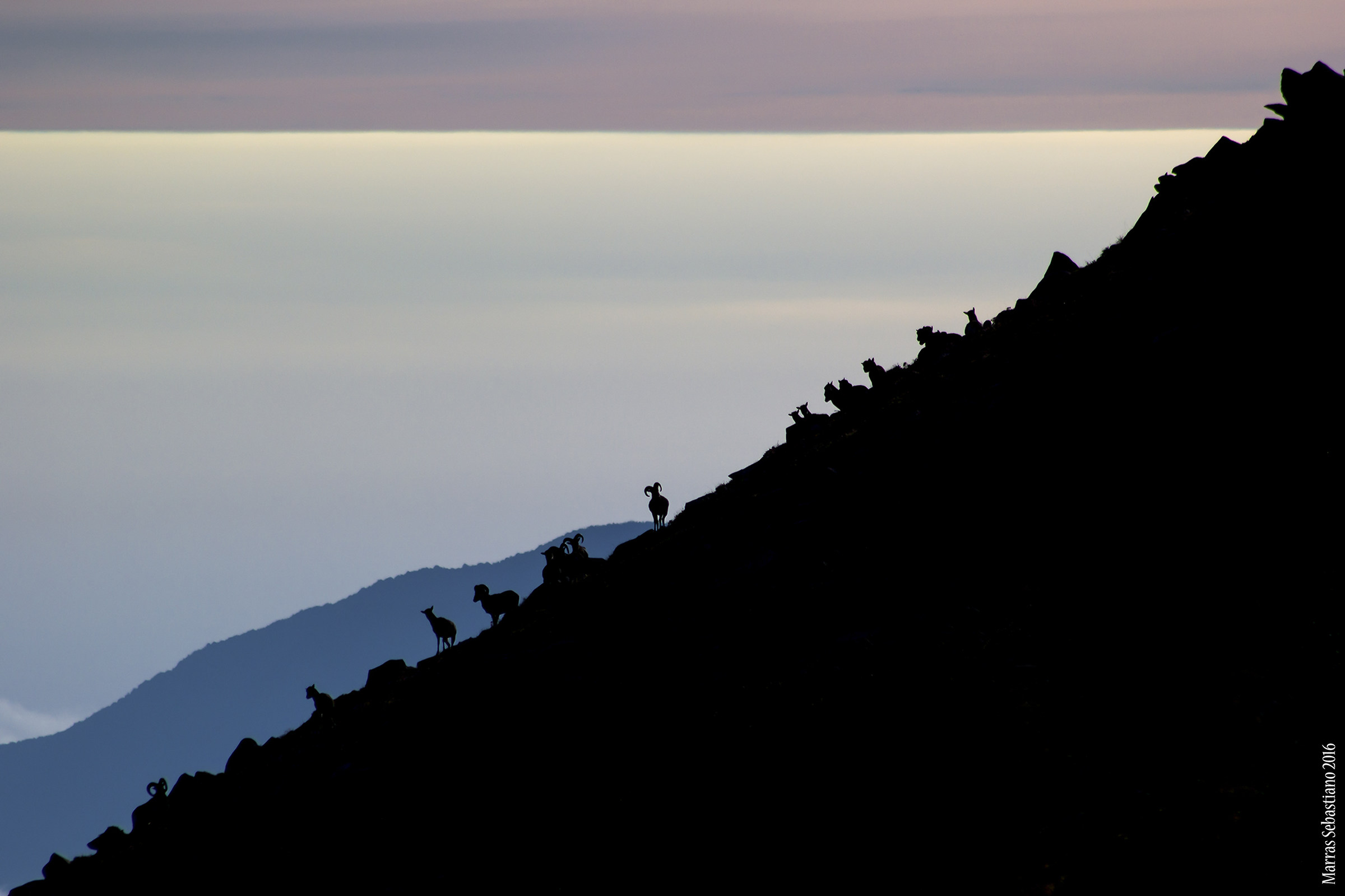 Alba sul Gennargentu