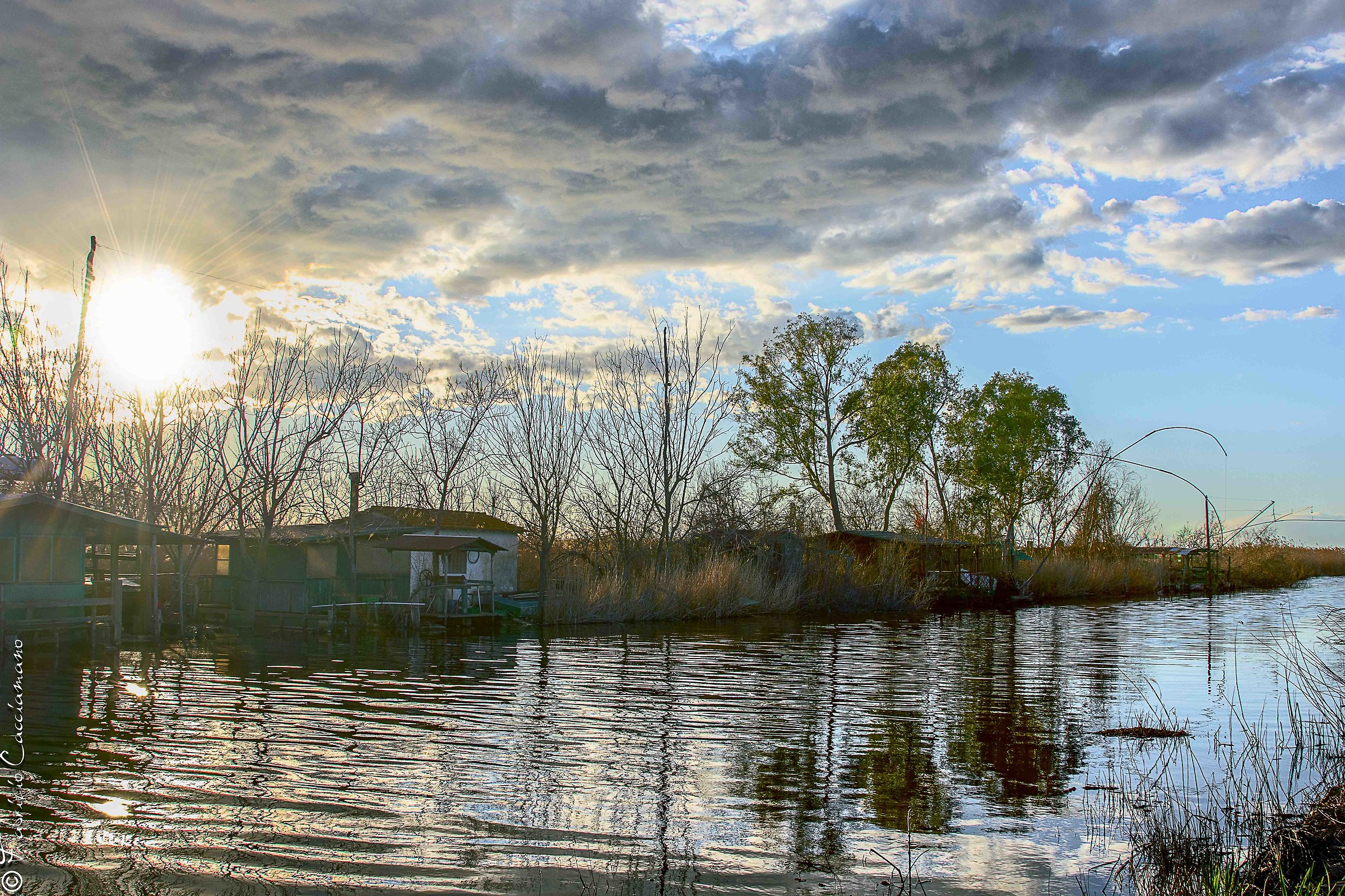 The stillness of the marshes