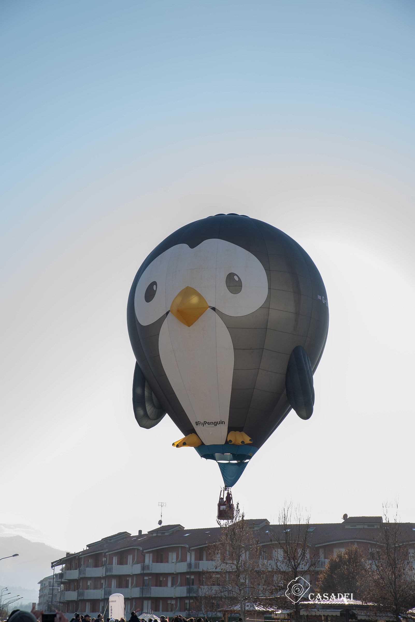 ballooning meet Mondovi