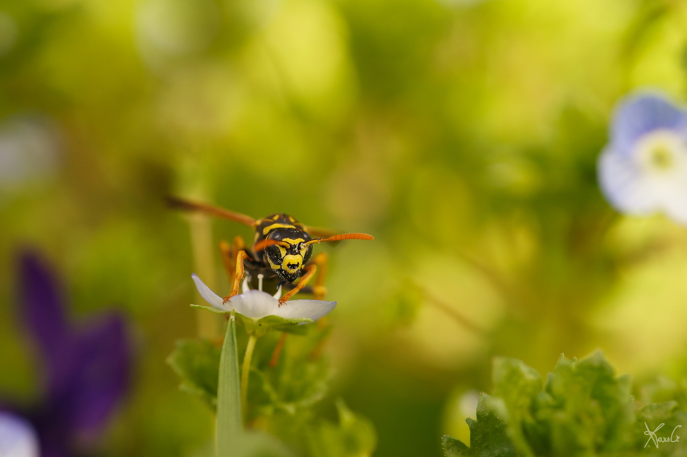 What are you watching ?? I'm eating!