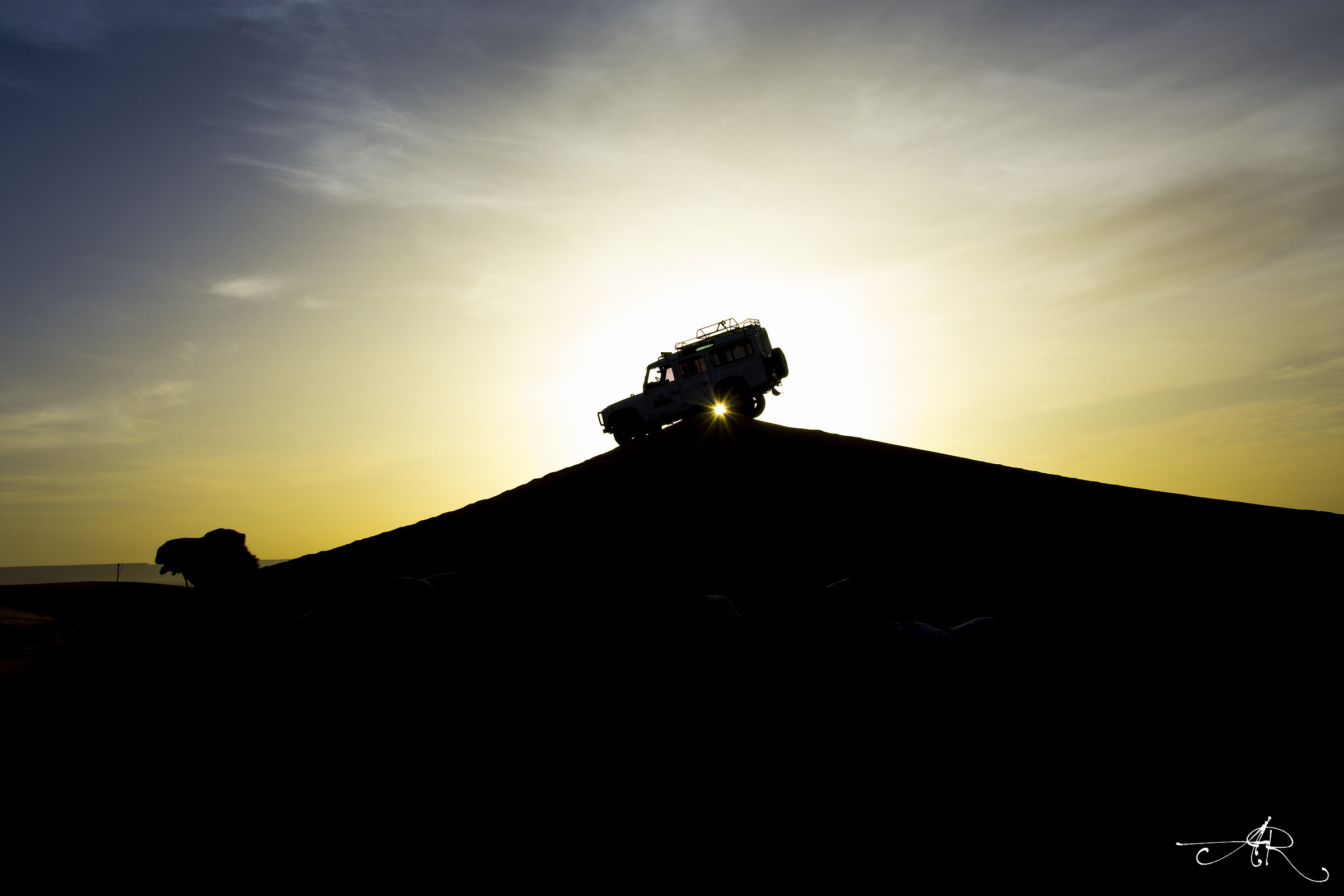 silhouette deertiche