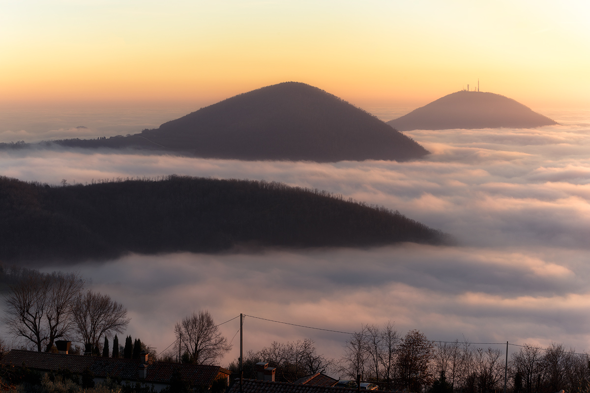Light through the Fog