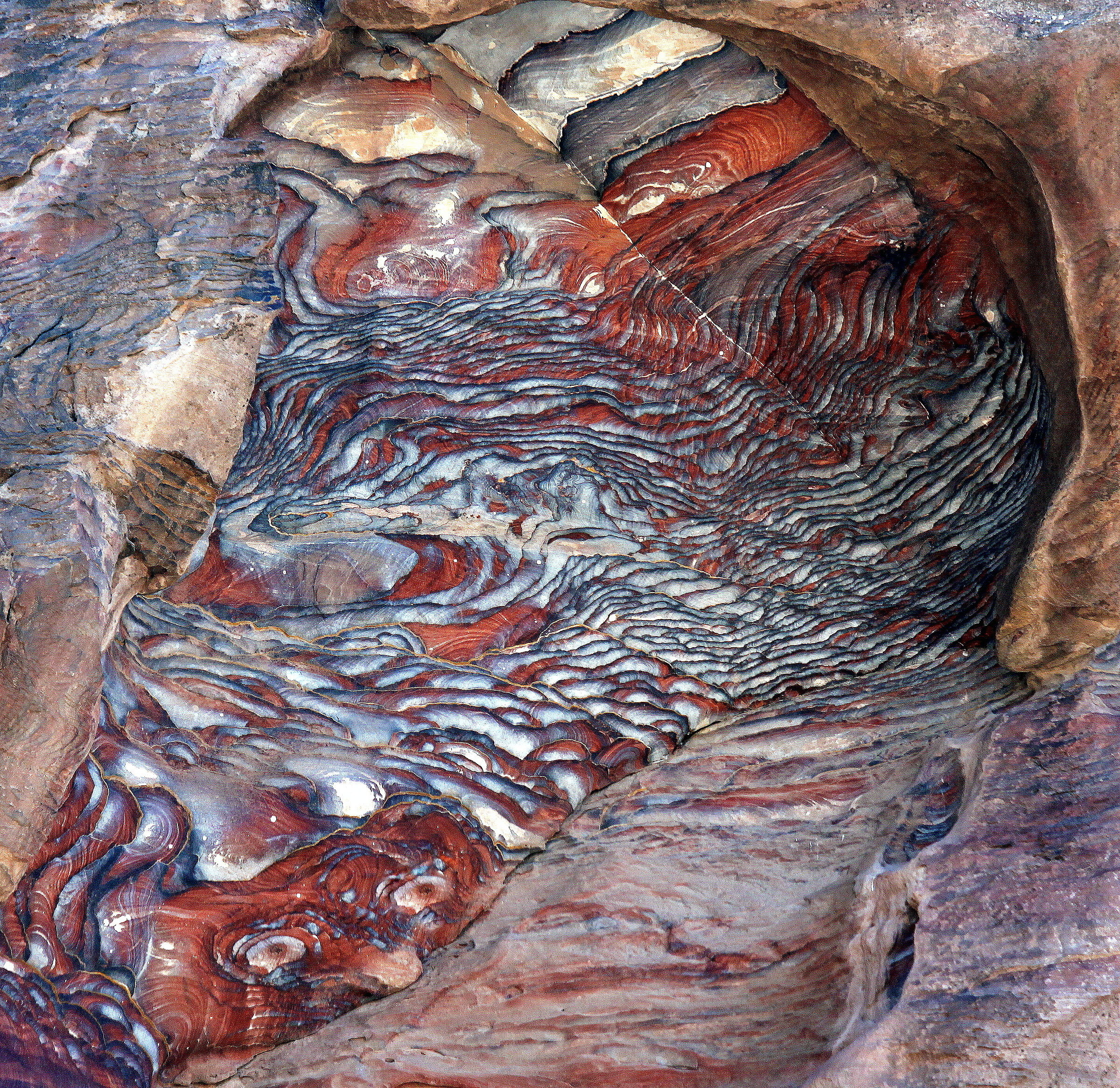 3907 - curiose presenze a Petra nelle grotte