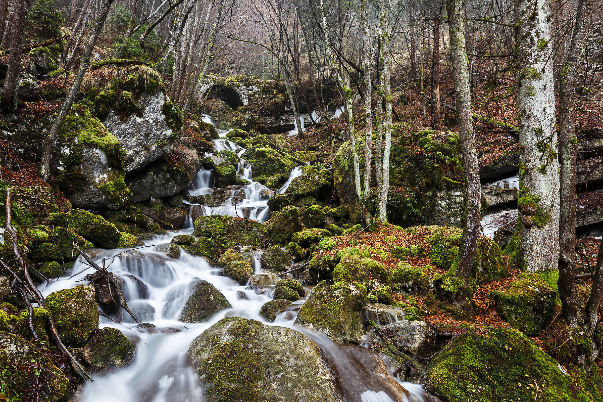 Folgaria - stream in the woods