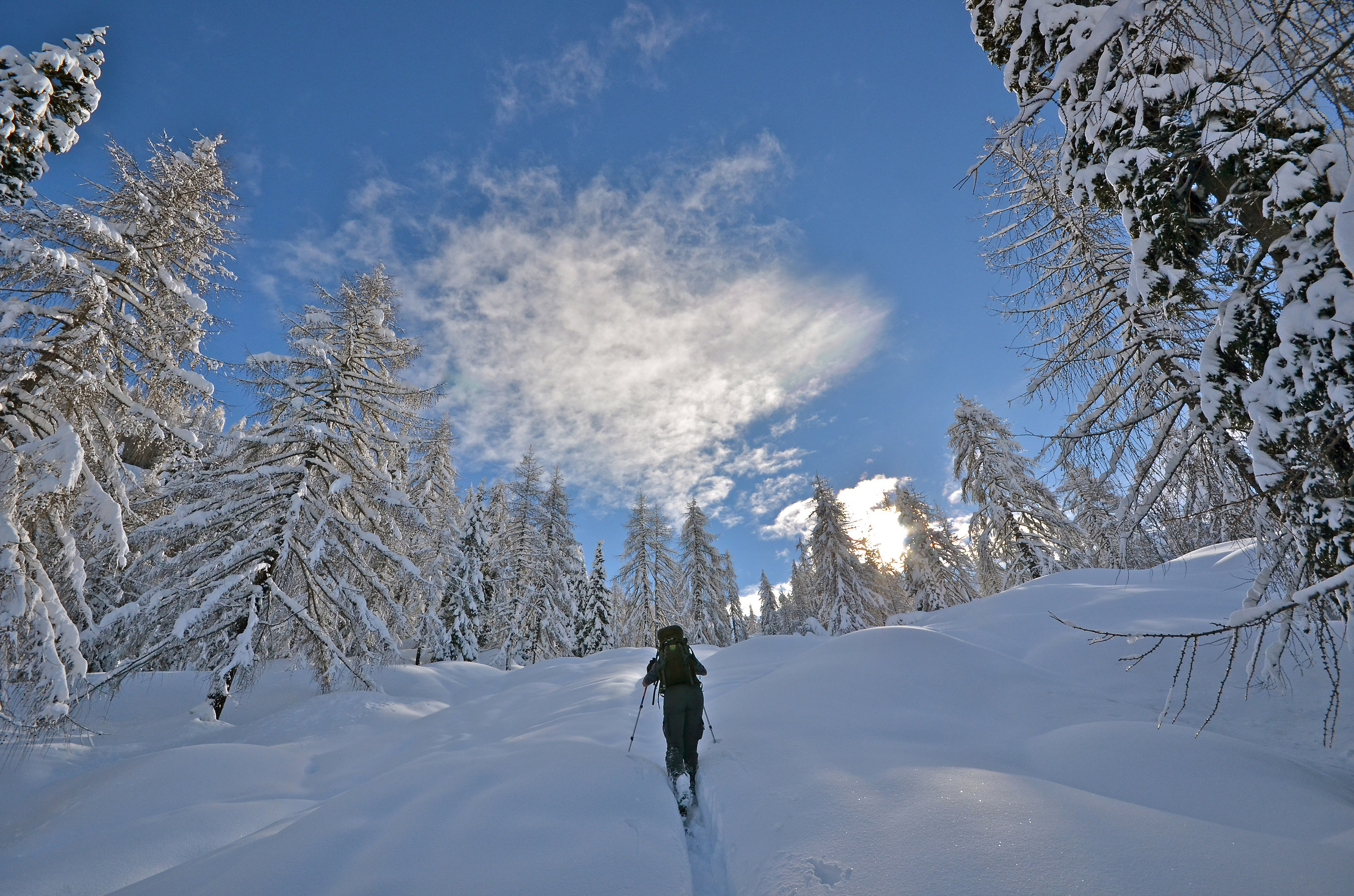 Resettum the group - Claut