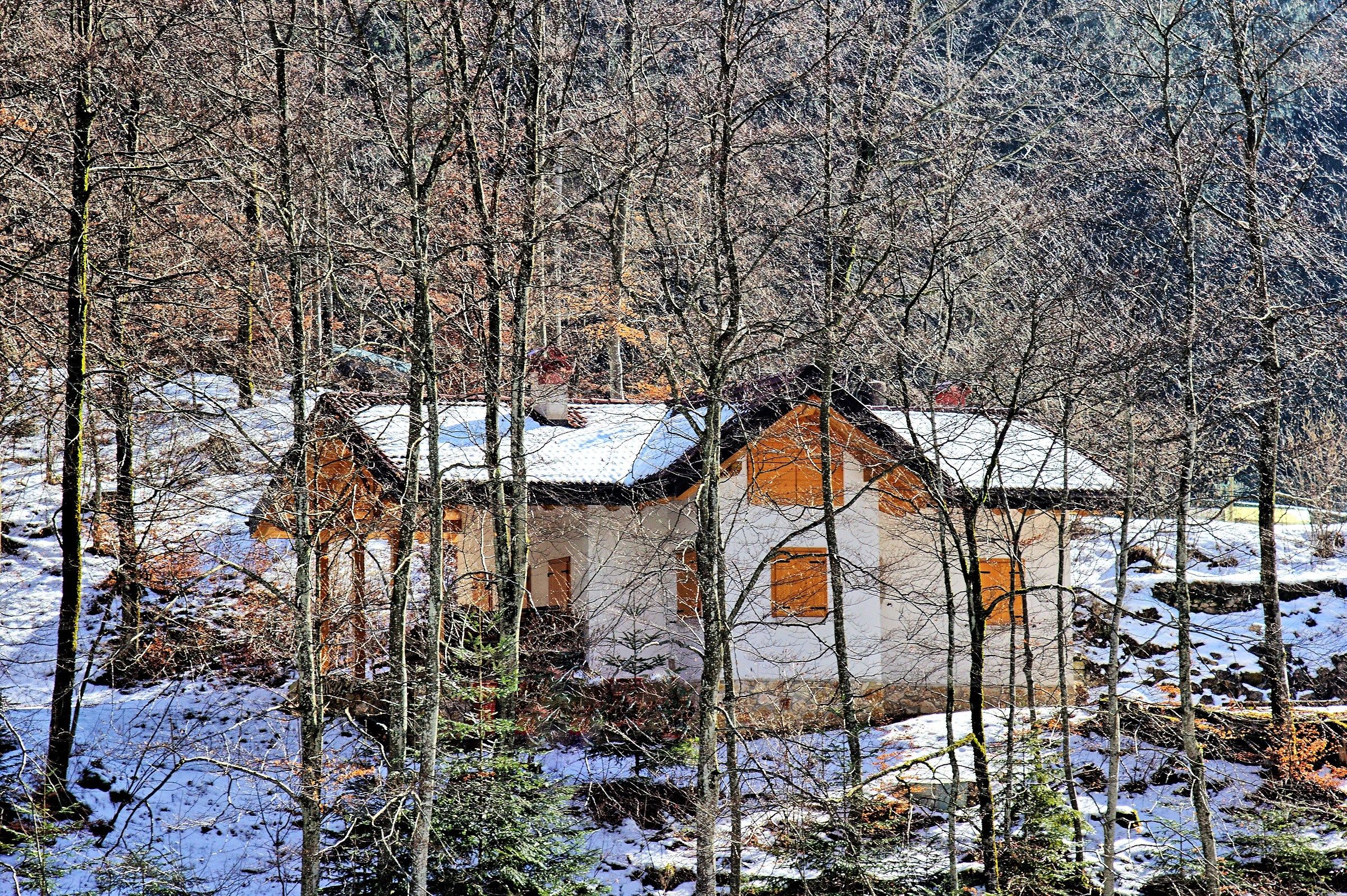 The house hidden in the wood