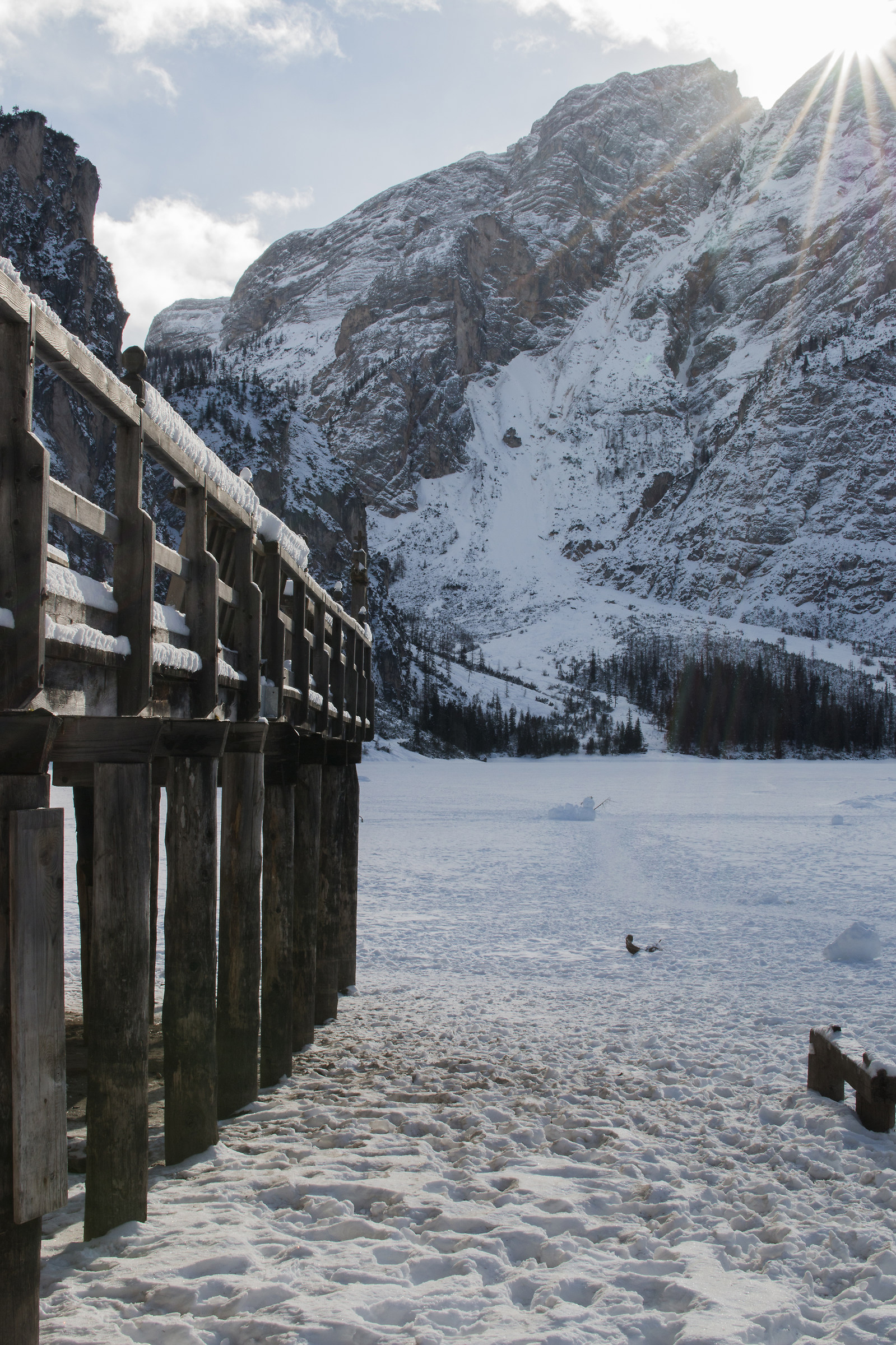 Wood + Ice and Stone