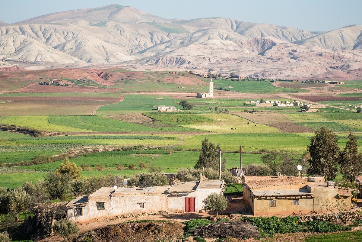 Moroccan green valleys.