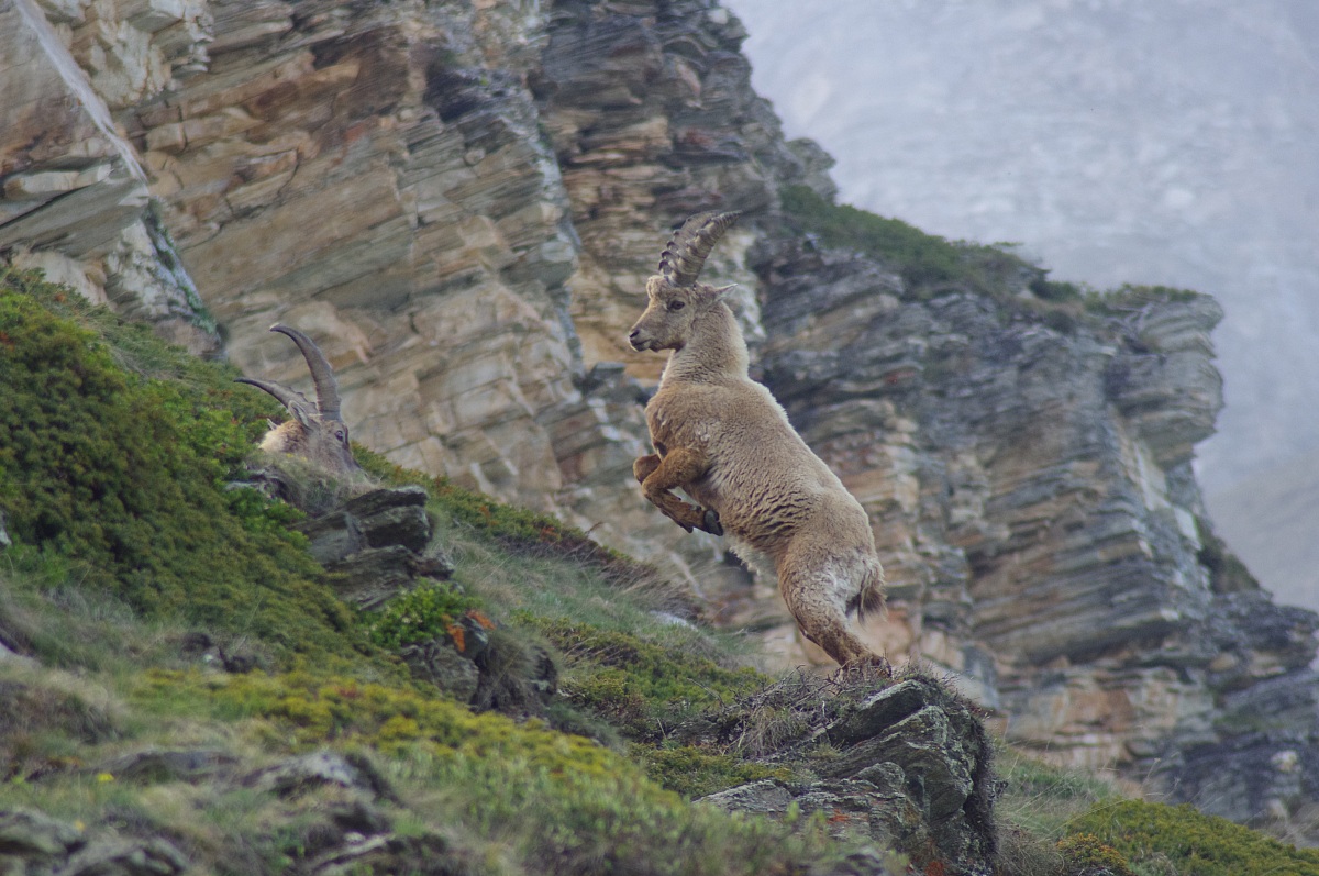 Giochi tra giovanotti...