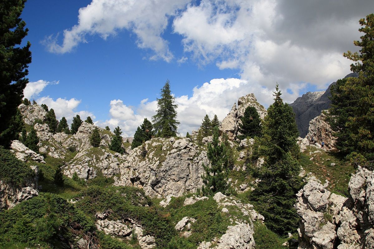 The city of the Sassi (Sella)