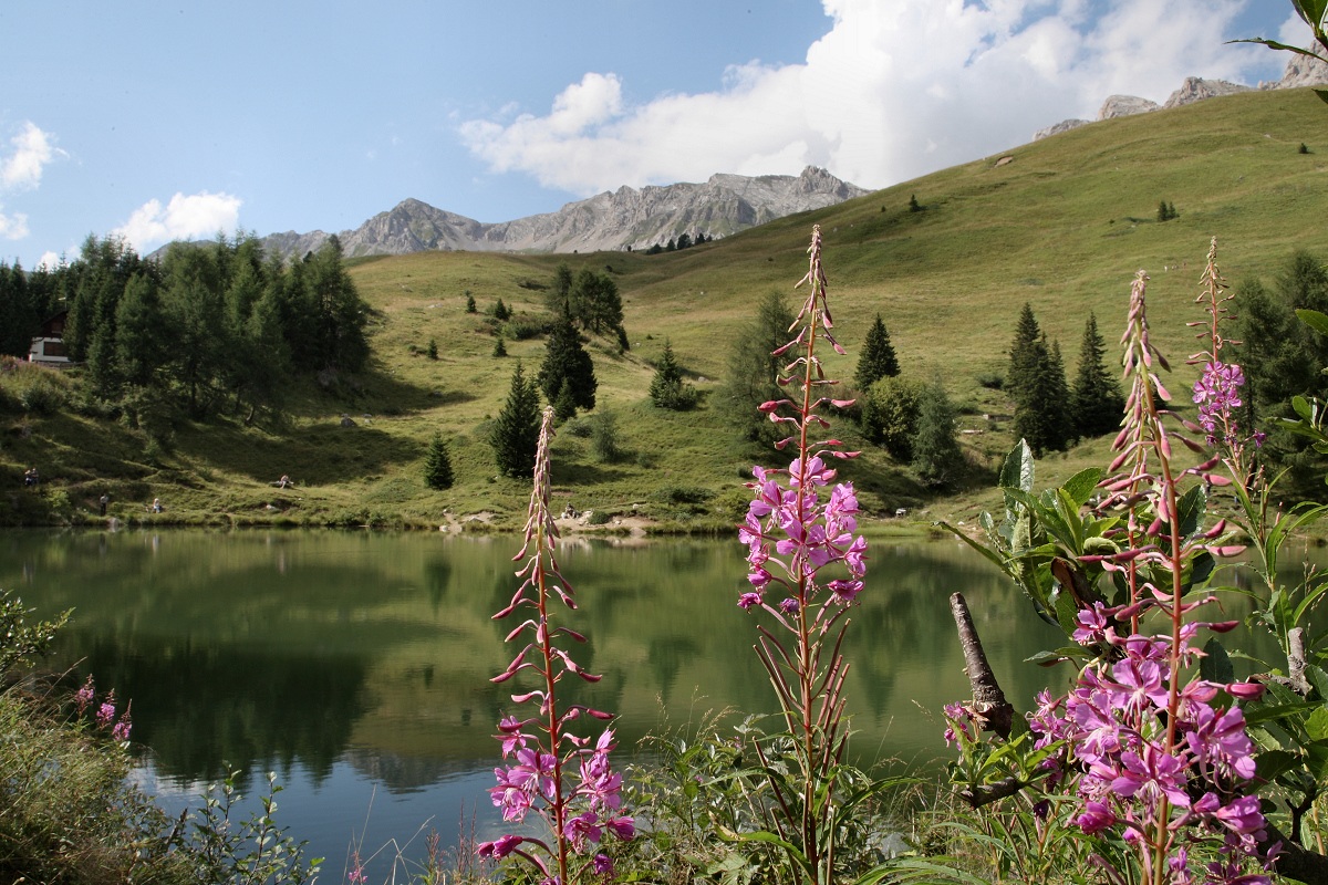 At Miralago (Passo San Pellegrino val di Fassa)
