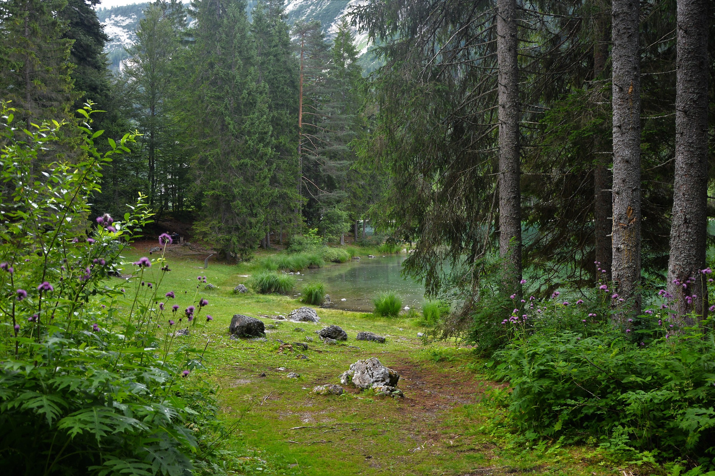 The Kingdom of the fauns and fairies.