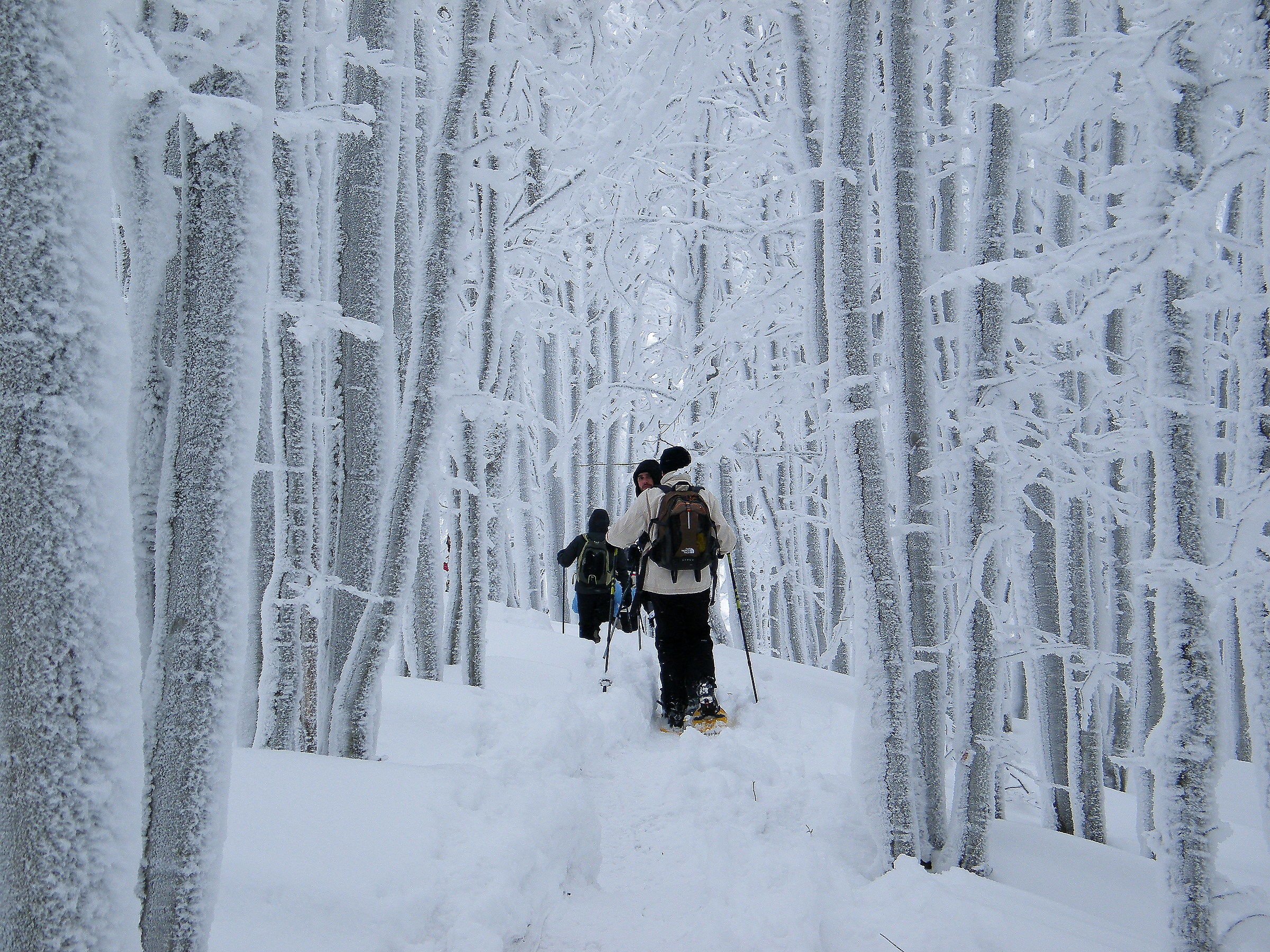 Attraversando la galaverna
