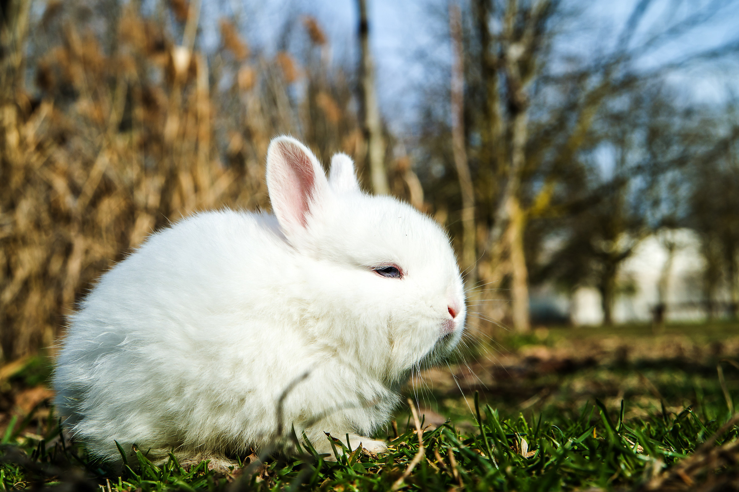 I feel spring in the air