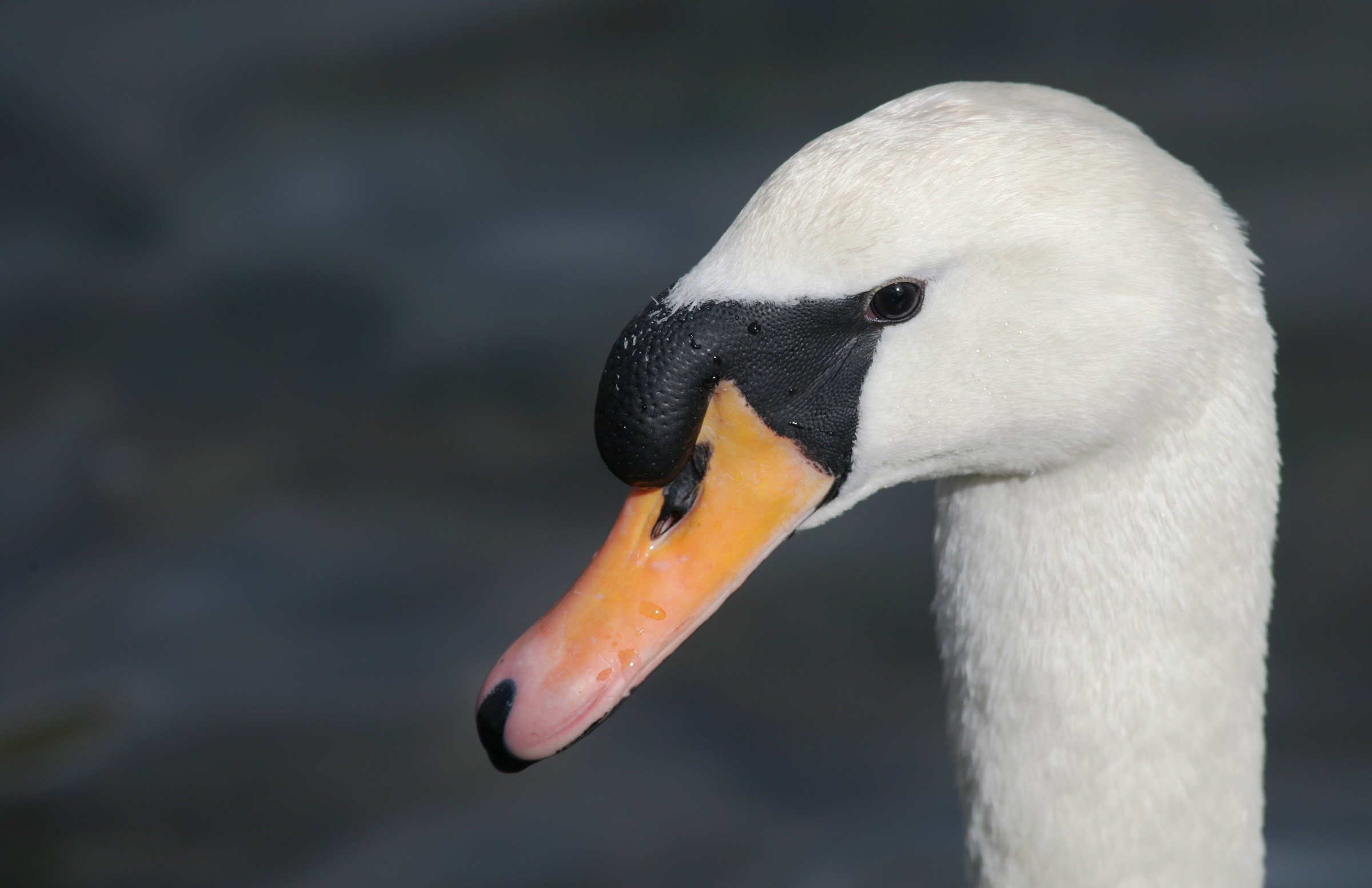 Easy, when I stand still!