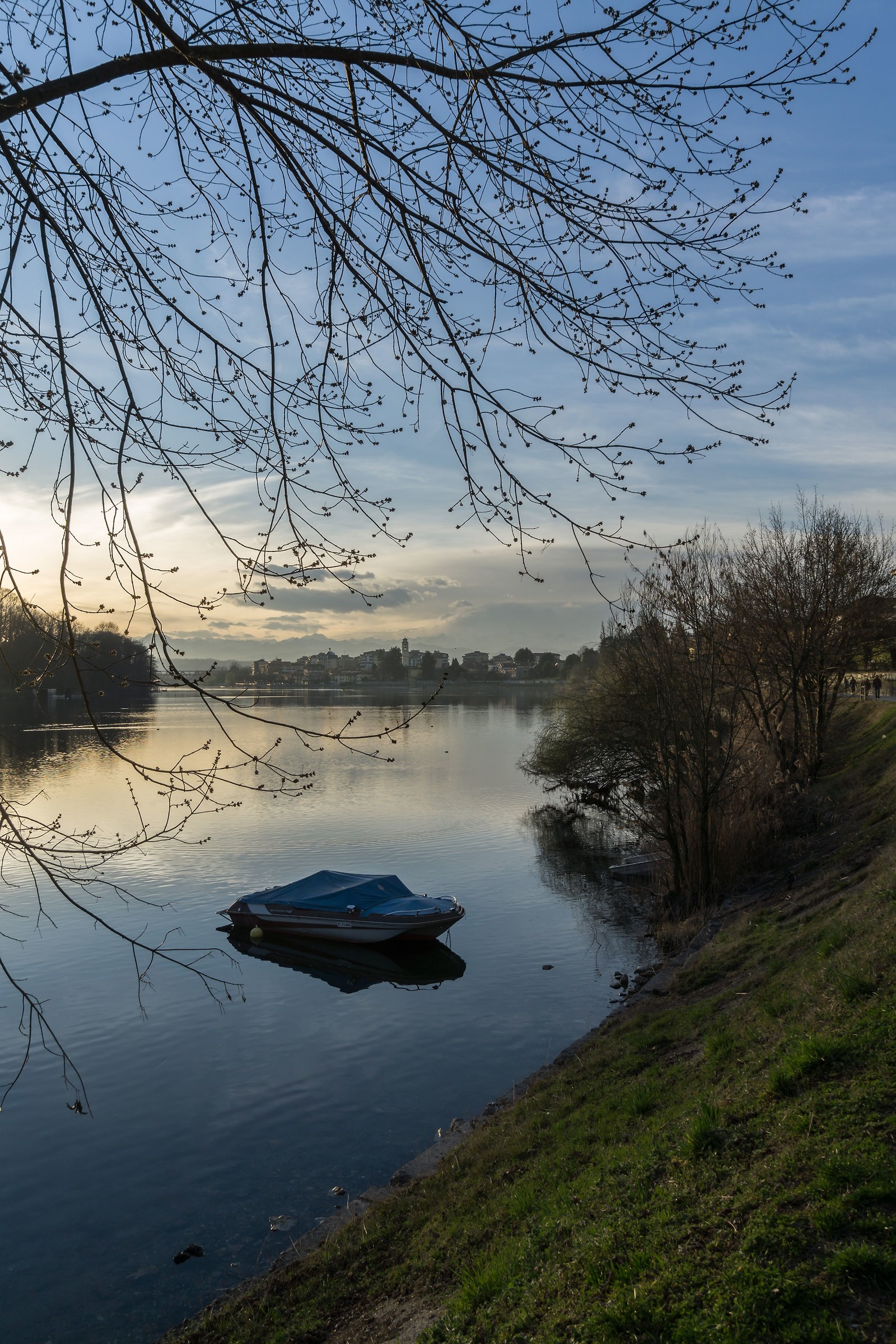 Giovedì 9 marzo 2017, 17:49