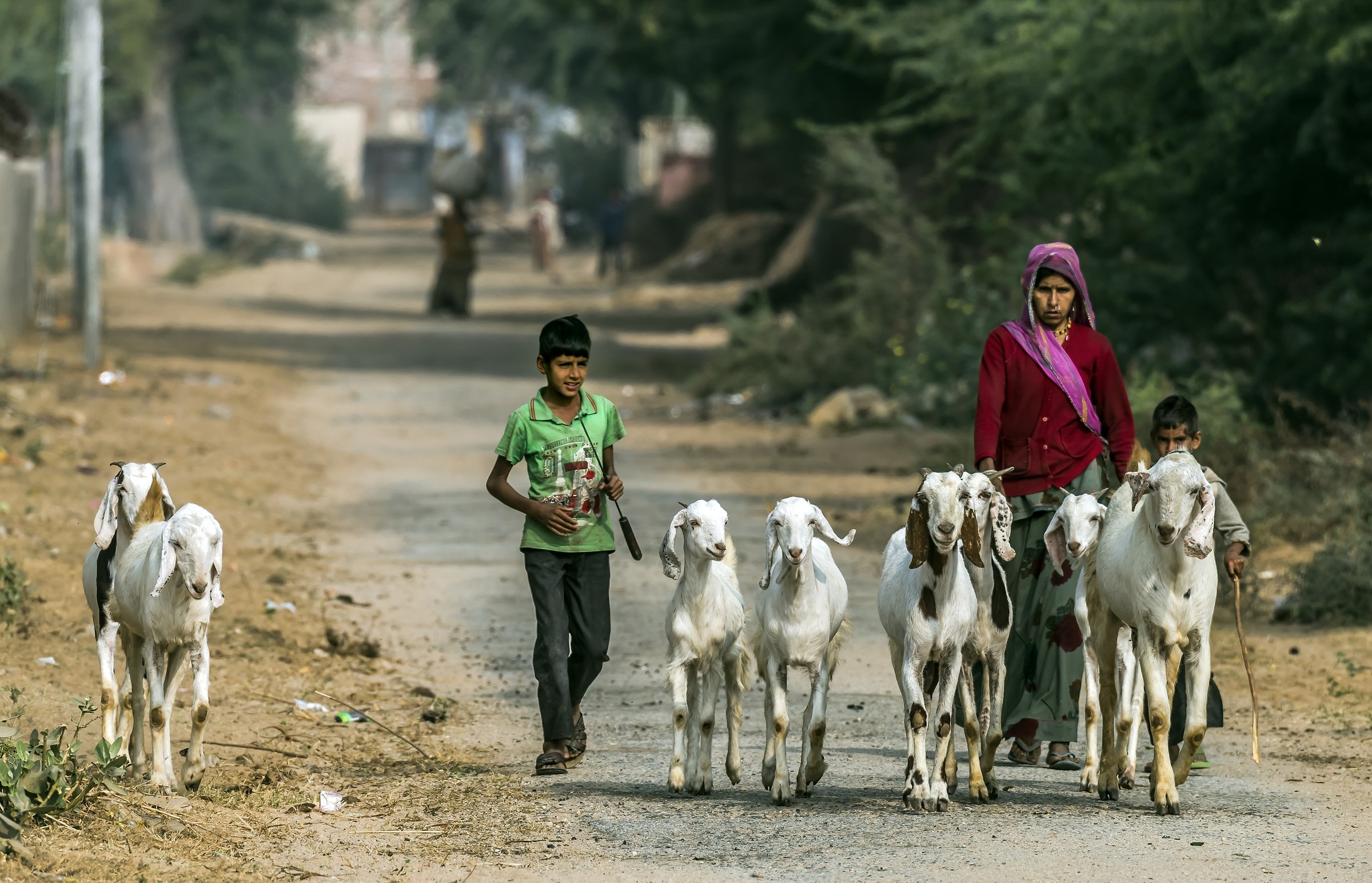 Rajasthan 2017 - Pastorelli