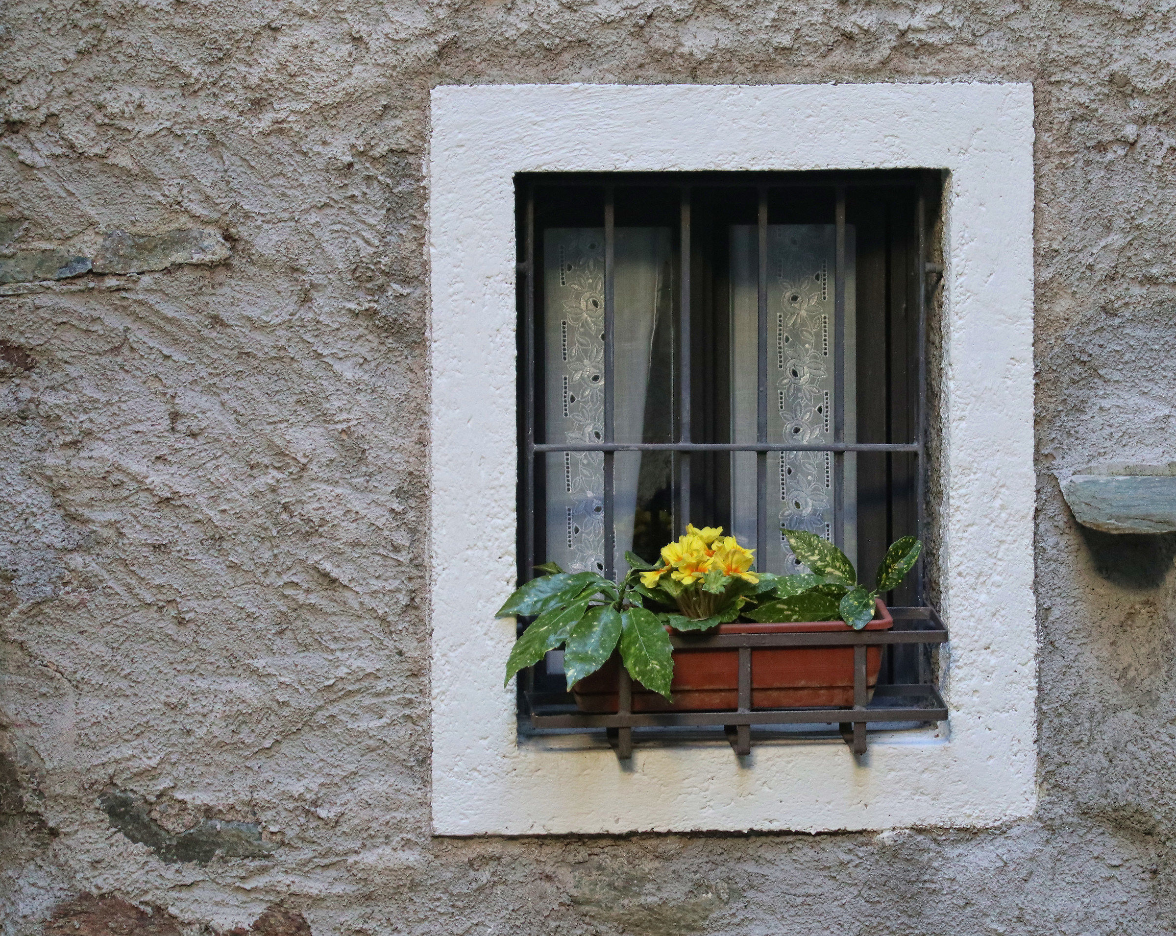 window