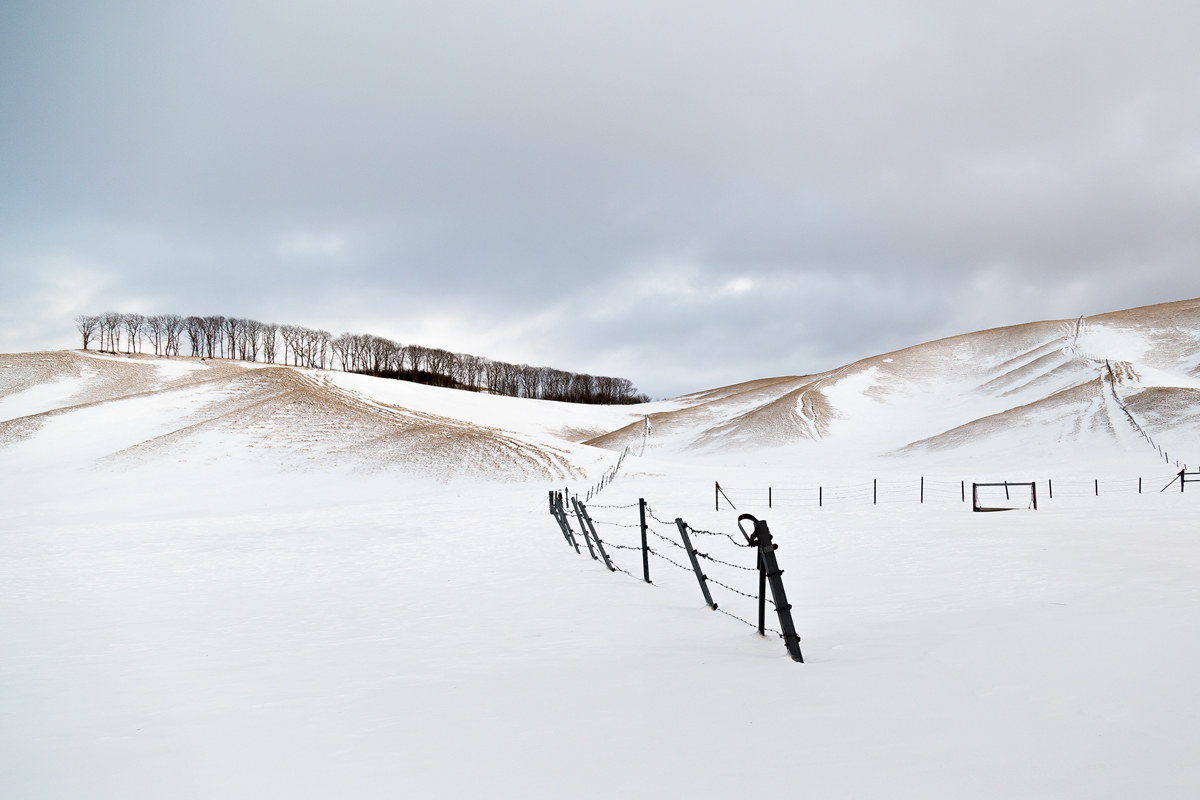 Hokkaido Landscape