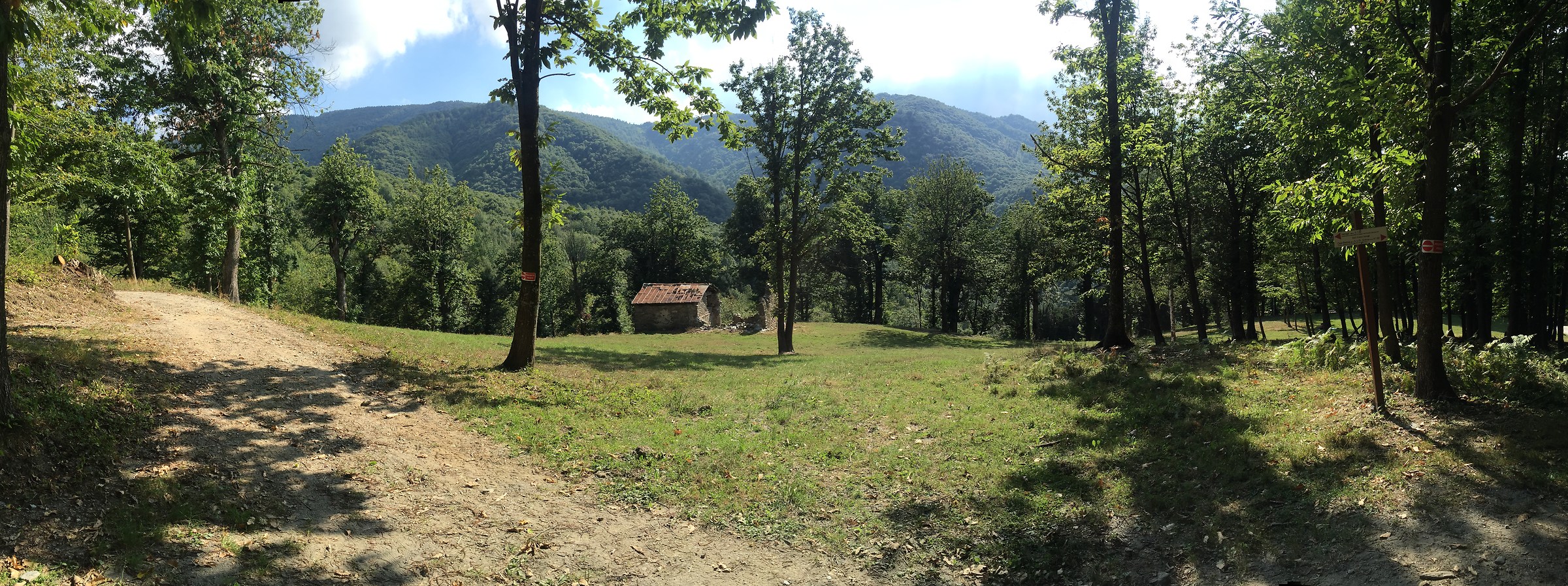 Panoramic in the green