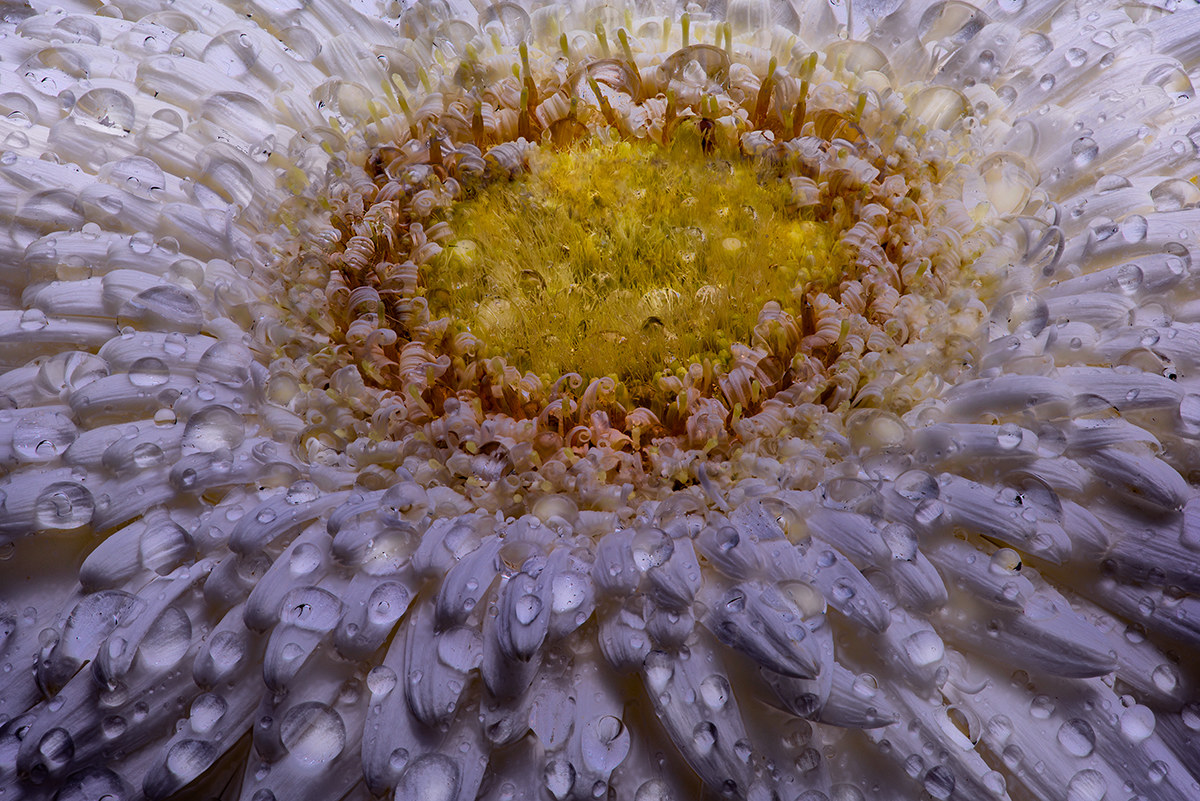 There is no model, there is only color.  Paul Cezanne