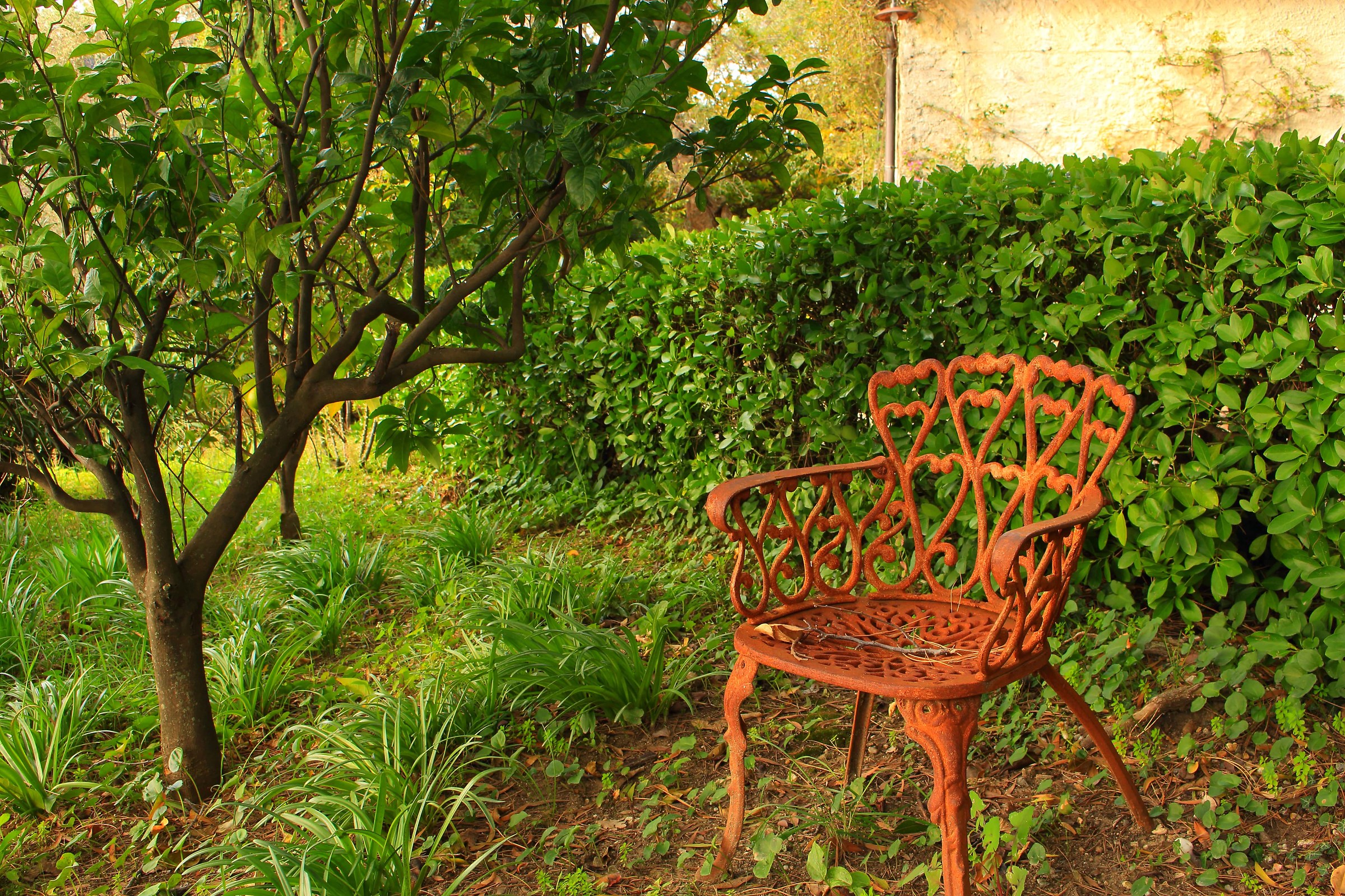 La solitudine e la compagnia