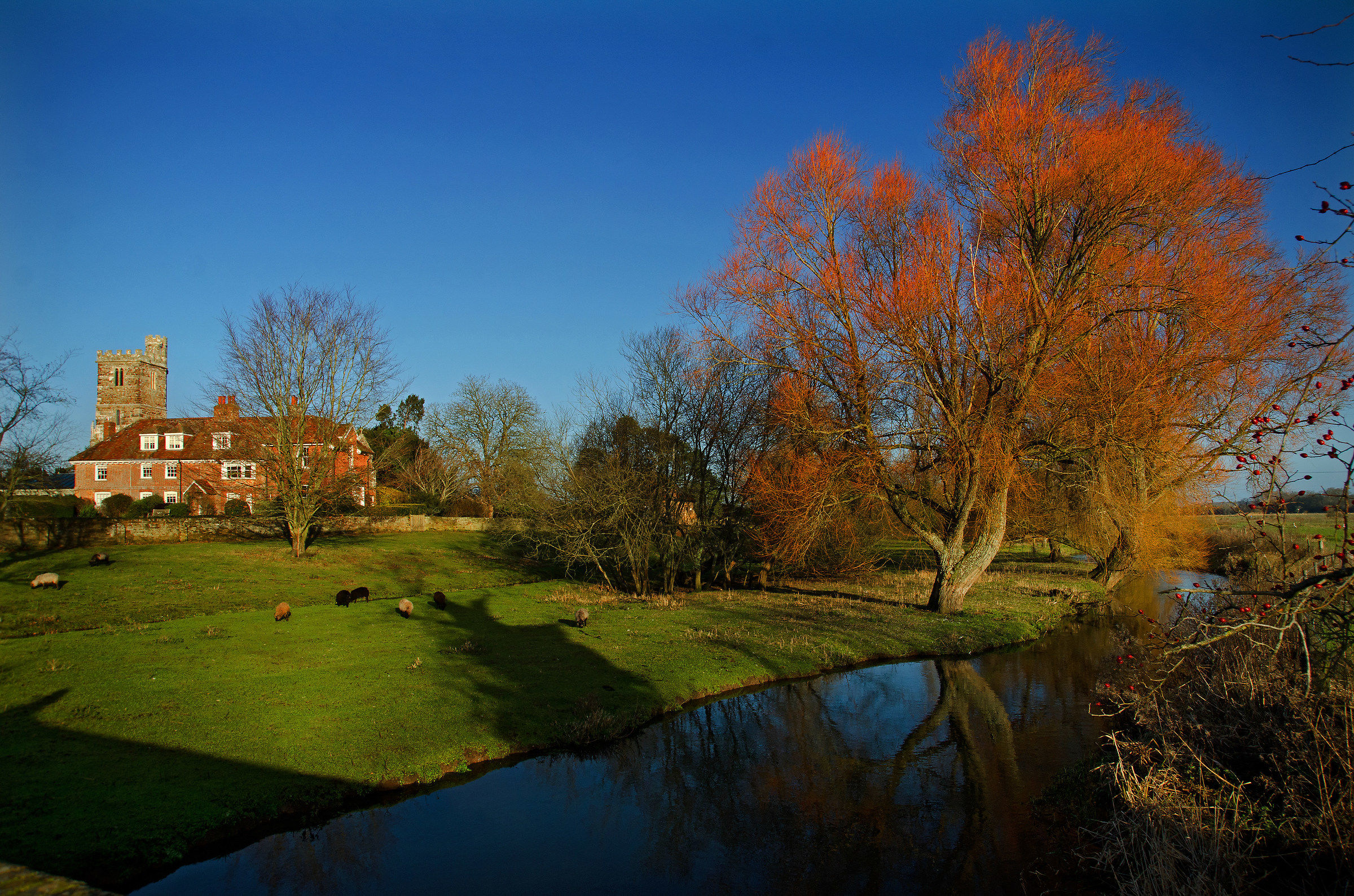 Non ci può essere colore in un paesaggio invernale in...