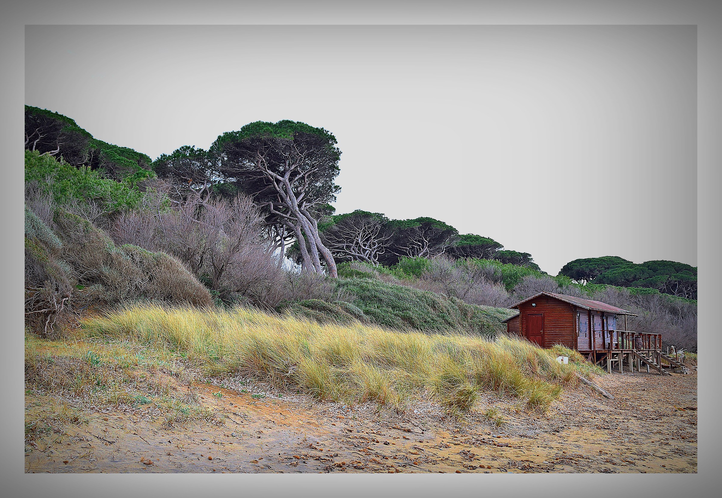 Costa degli Etruschi-Baratti